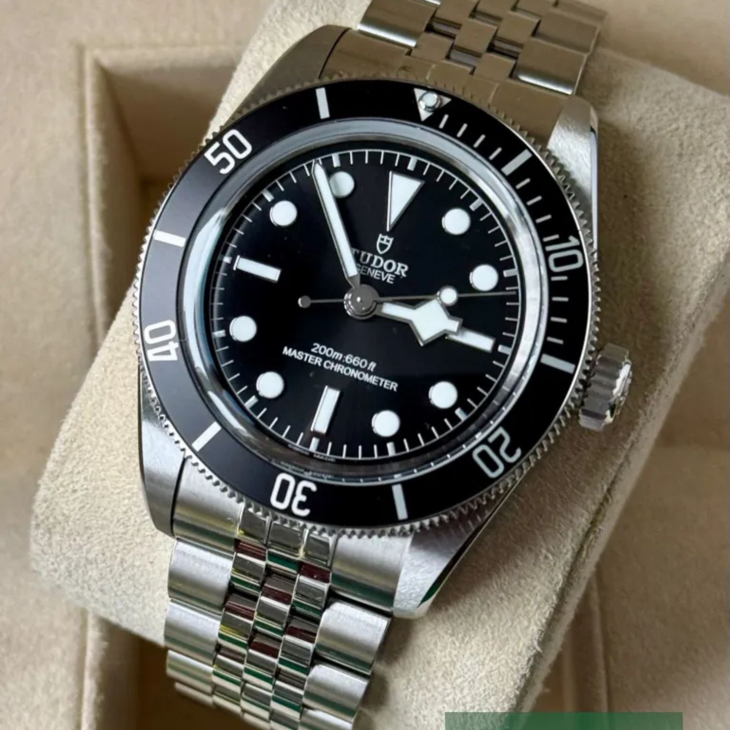 Tudor Black Bay 7941A1A0NU - (6/7)