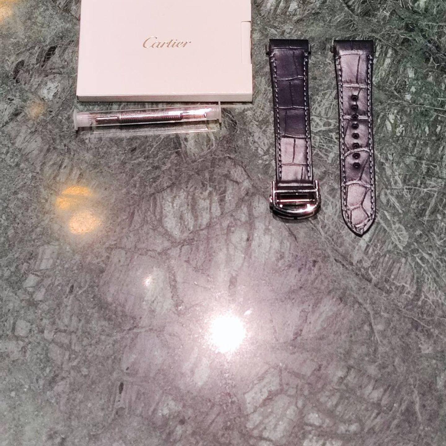 Cartier Santos WSSA0063 - (6/7)