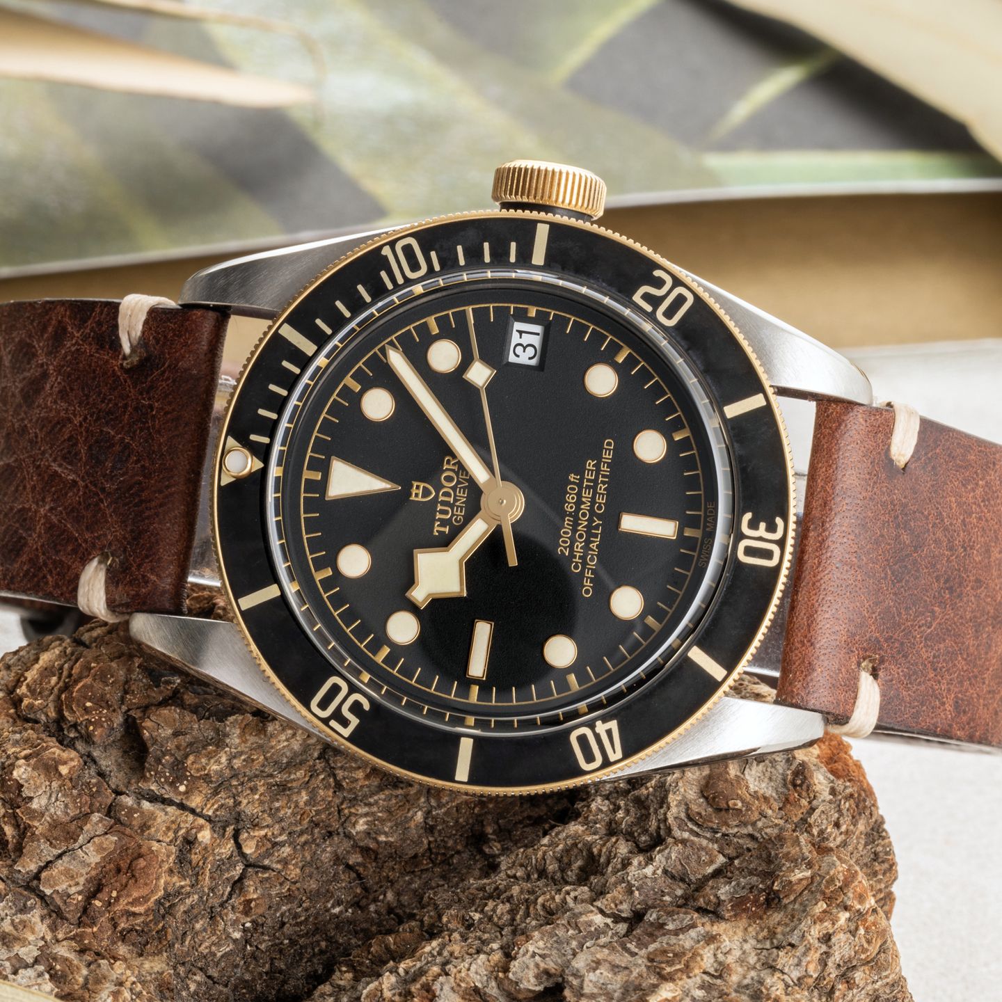 Tudor Black Bay S&G 79733N - (2/8)