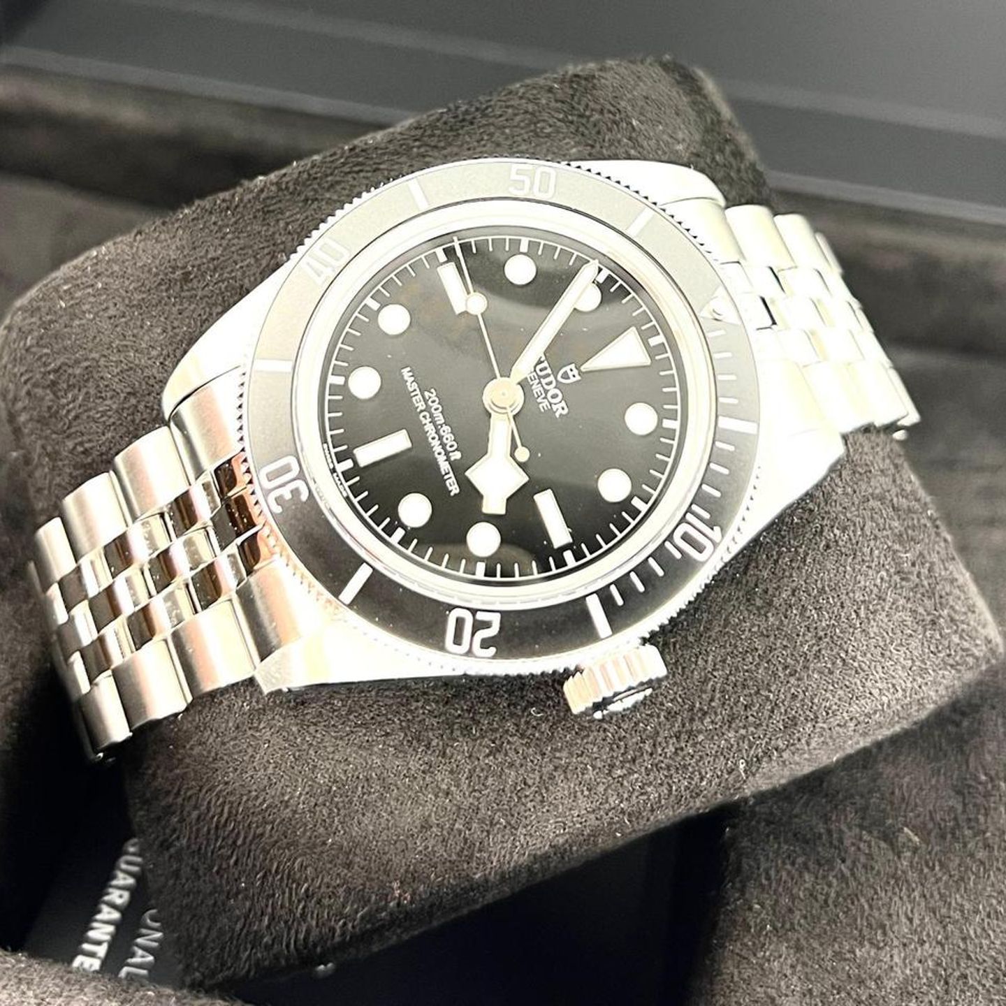 Tudor Black Bay 7941A1A0NU - (4/18)