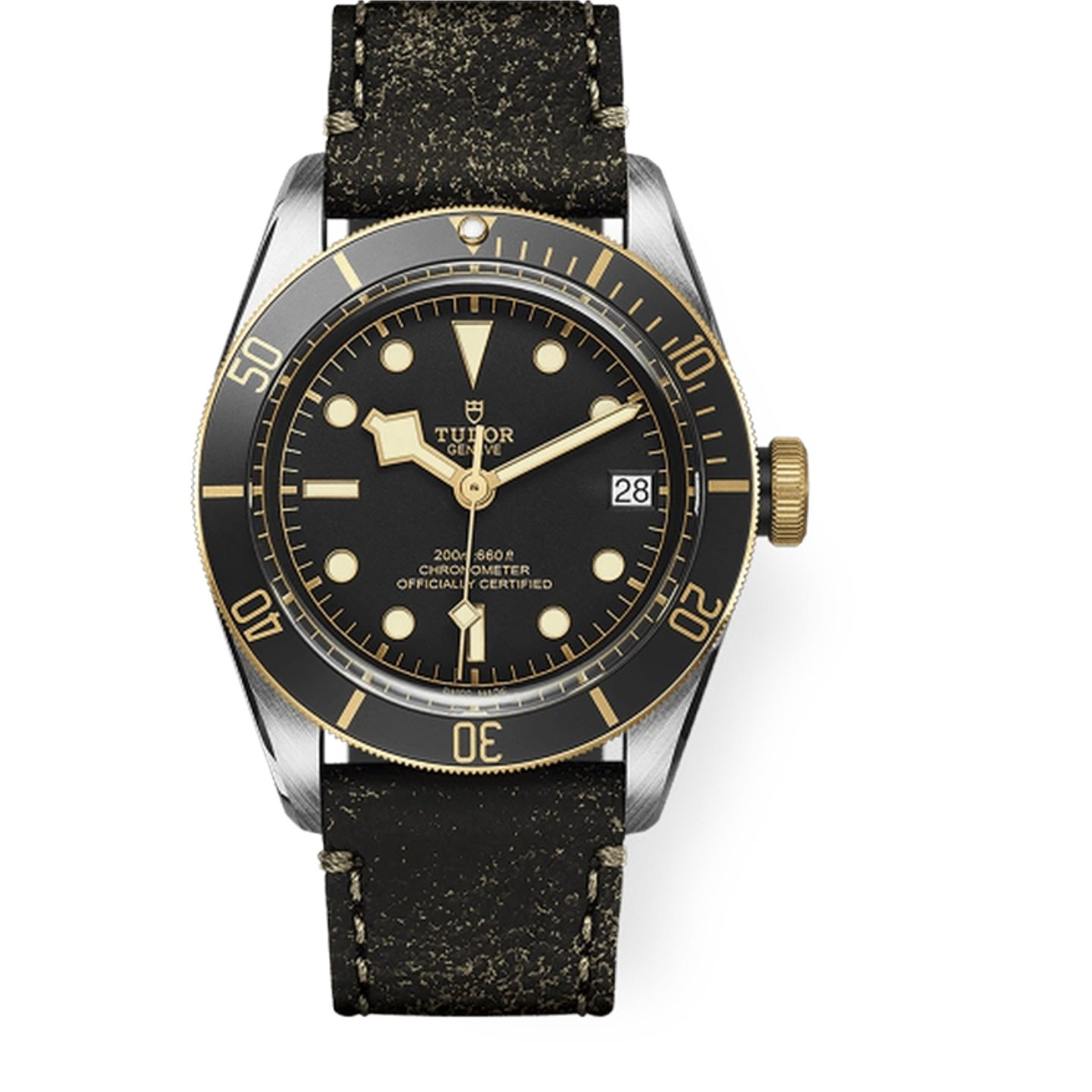 Tudor Black Bay S&G 79733N (2026) - Black dial 41 mm Steel case (1/1)