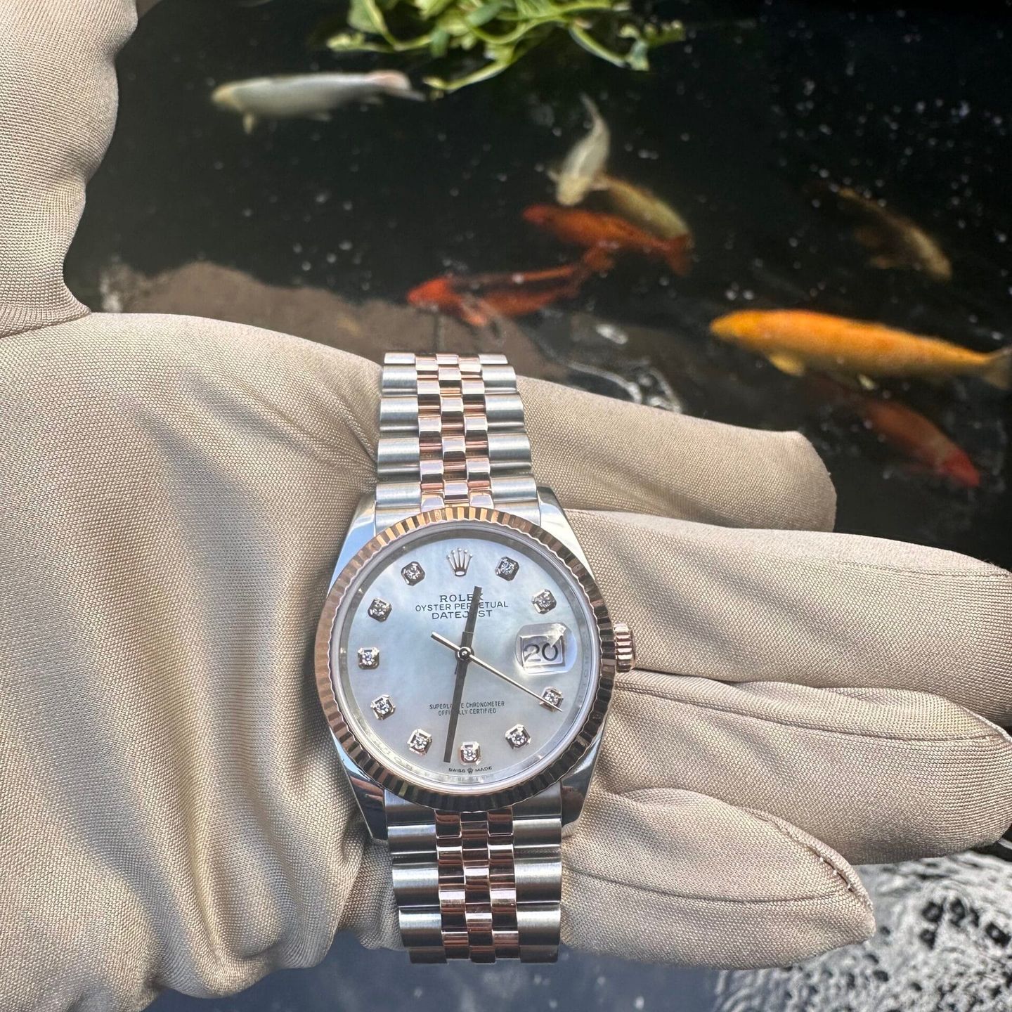 Rolex Datejust 36 126231 - (2/4)