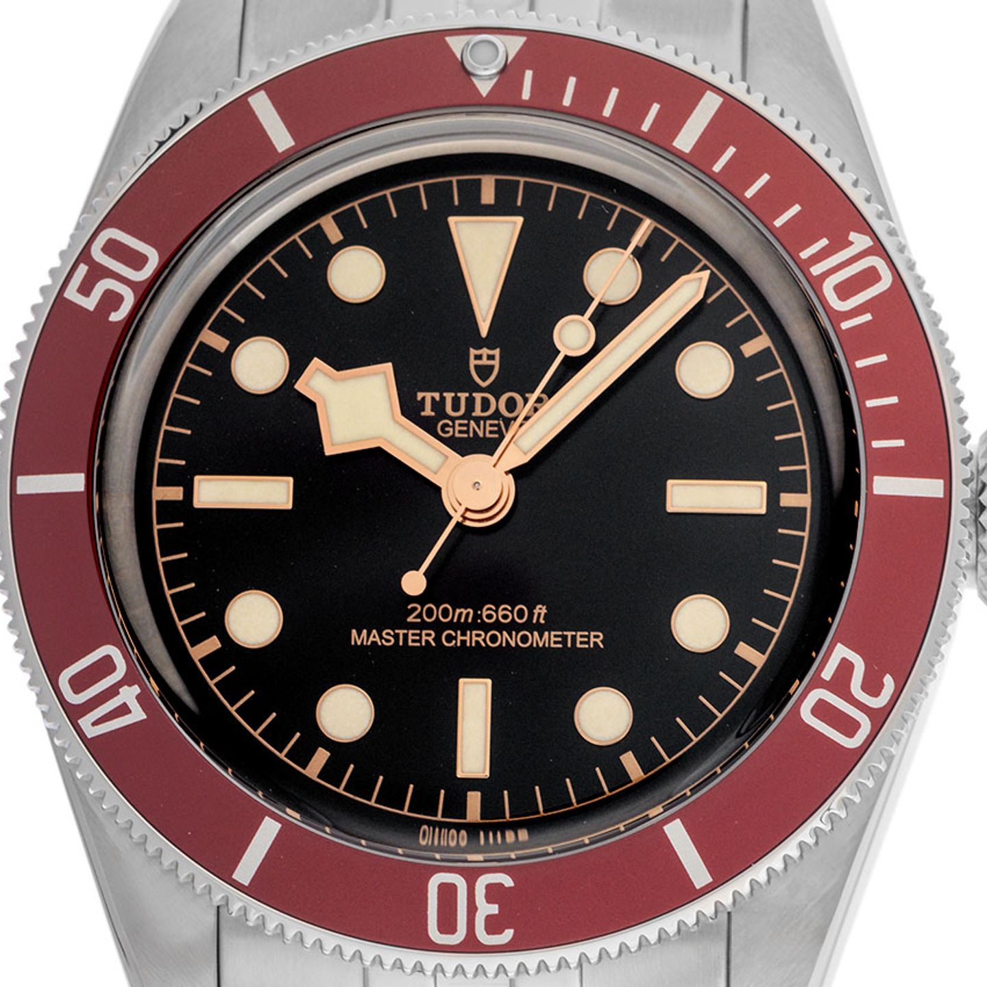 Tudor Black Bay 41 7941A1A0RU - (1/7)