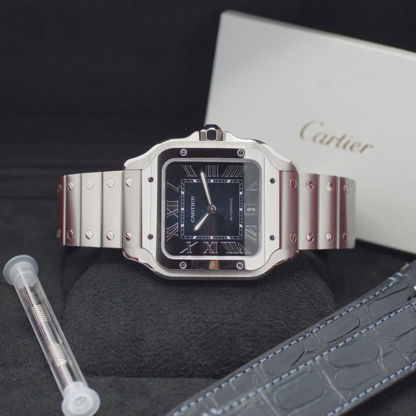 Cartier Santos WSSA0071 - (1/8)