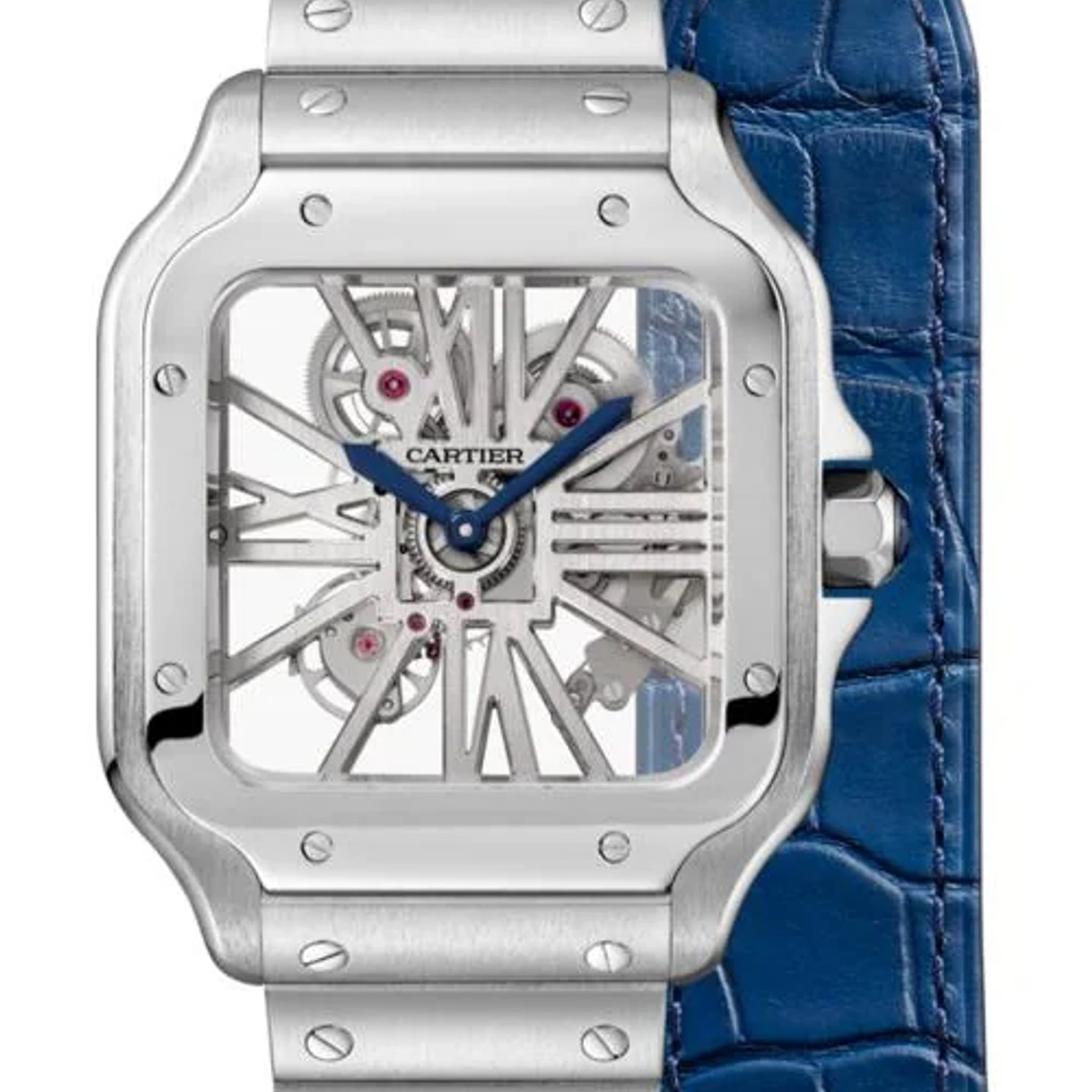 Cartier Santos WHSA0015 - (1/1)