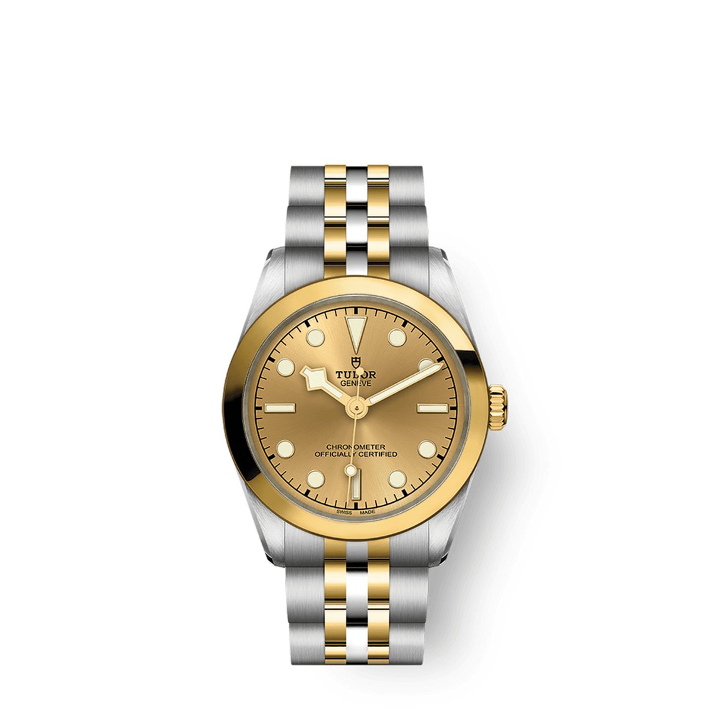 Tudor Black Bay S&G 79603 - (1/1)