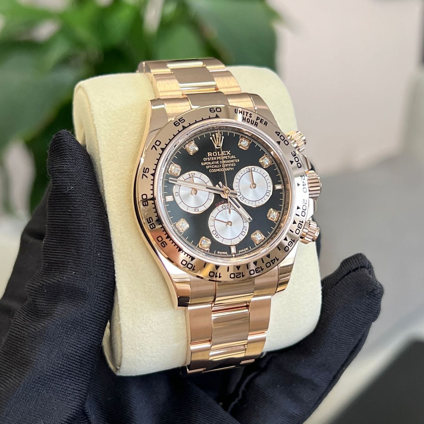 Rolex Daytona 126505G BLACK - (7/8)