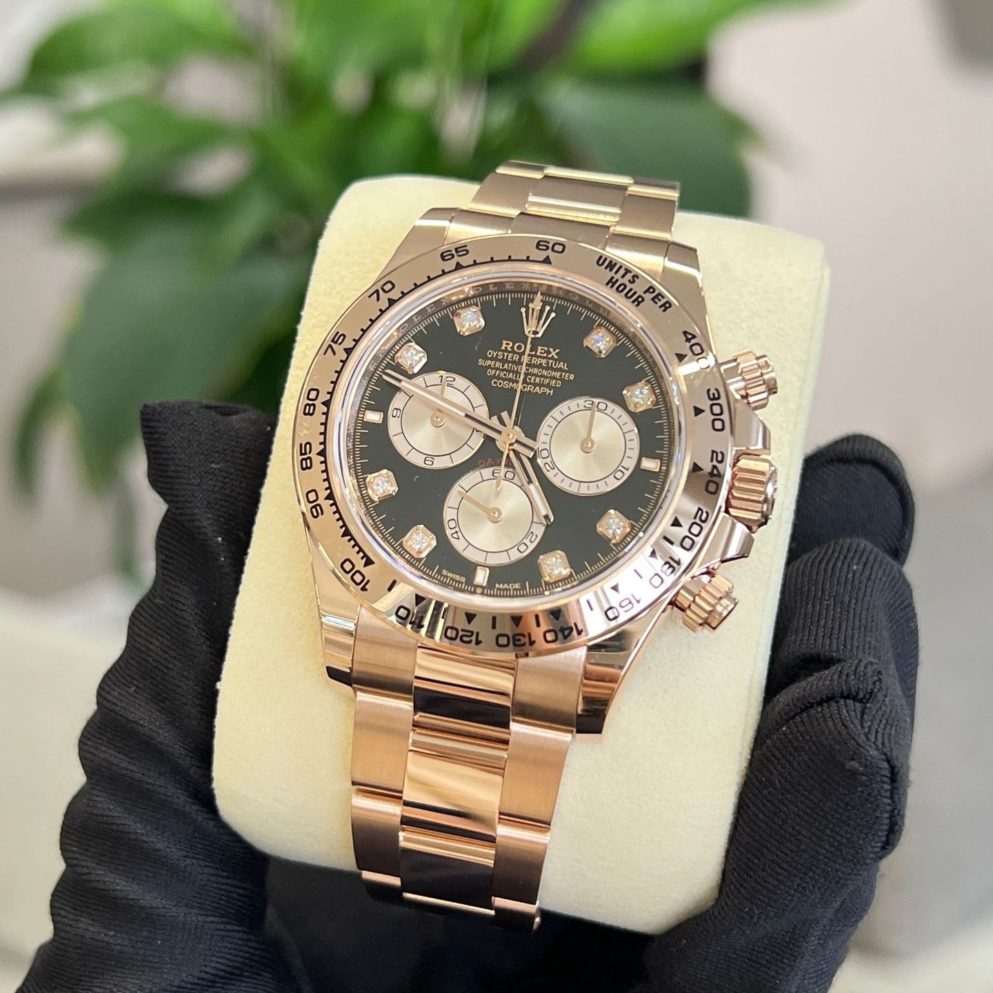 Rolex Daytona 126505G BLACK - (3/8)