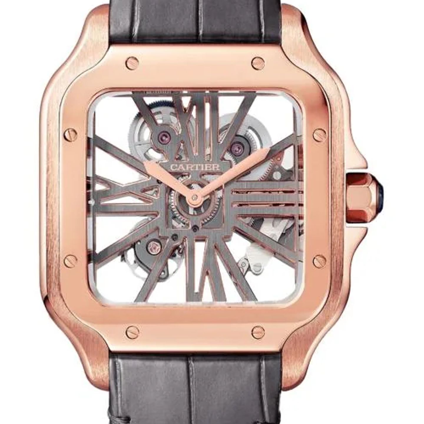 Cartier Santos WHSA0018 - (1/1)