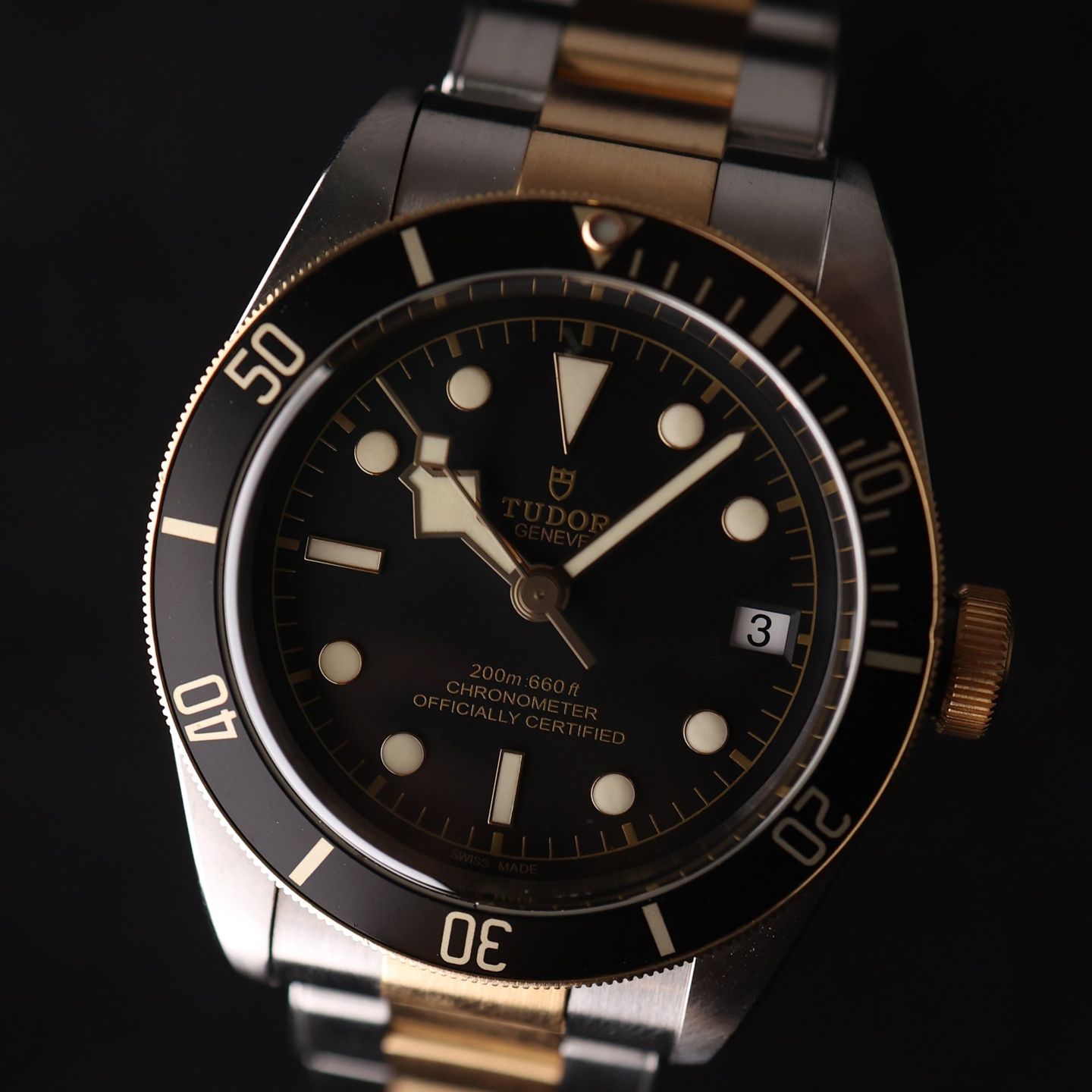 Tudor Black Bay S&G 79733N - (5/6)