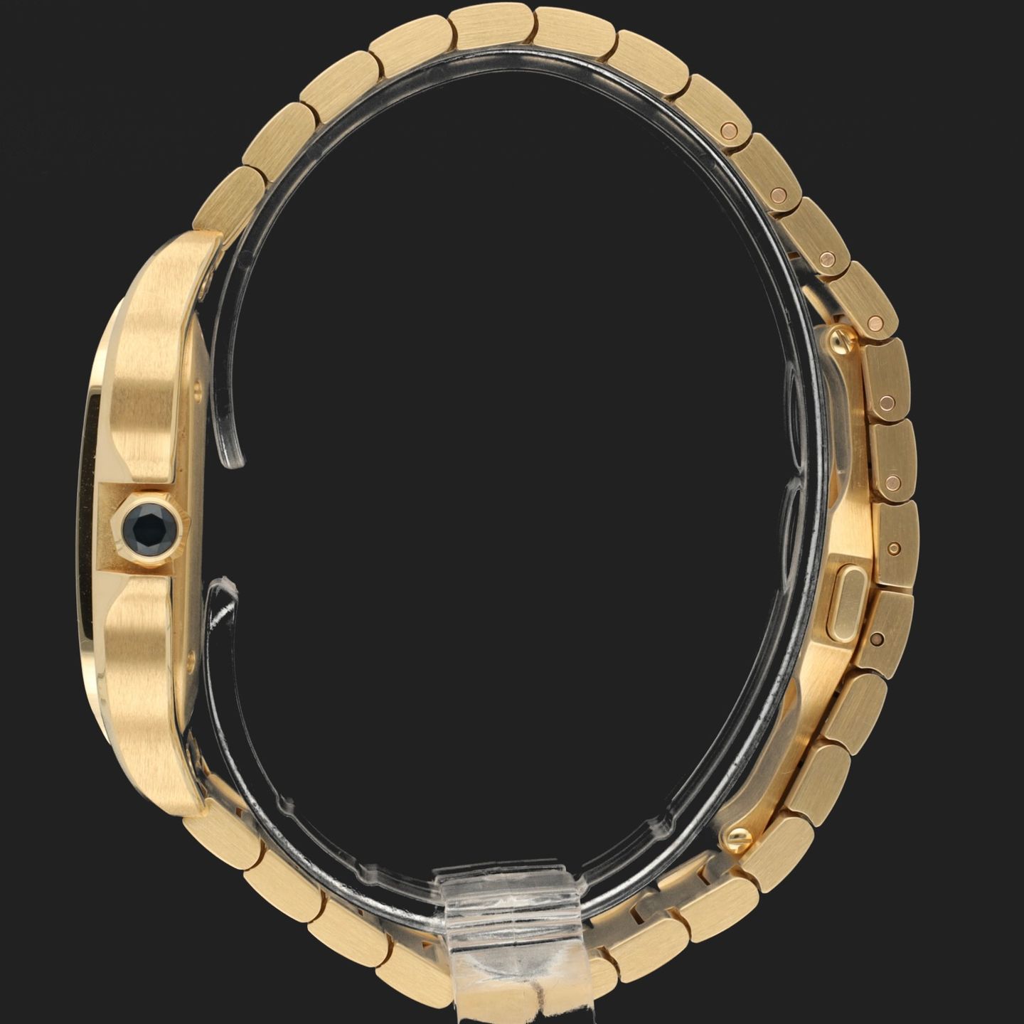 Cartier Santos WGSA0030 - (7/8)