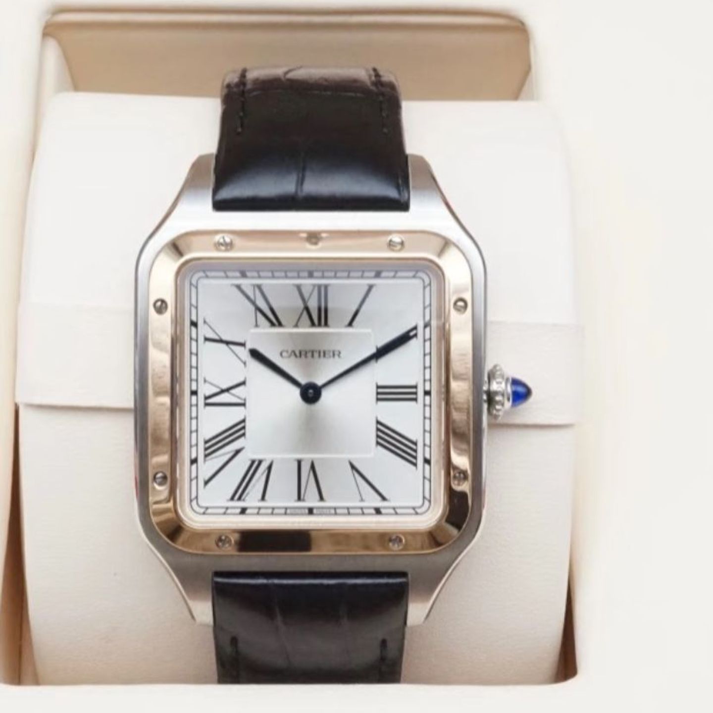 Cartier Santos Dumont W2SA0017 - (1/5)