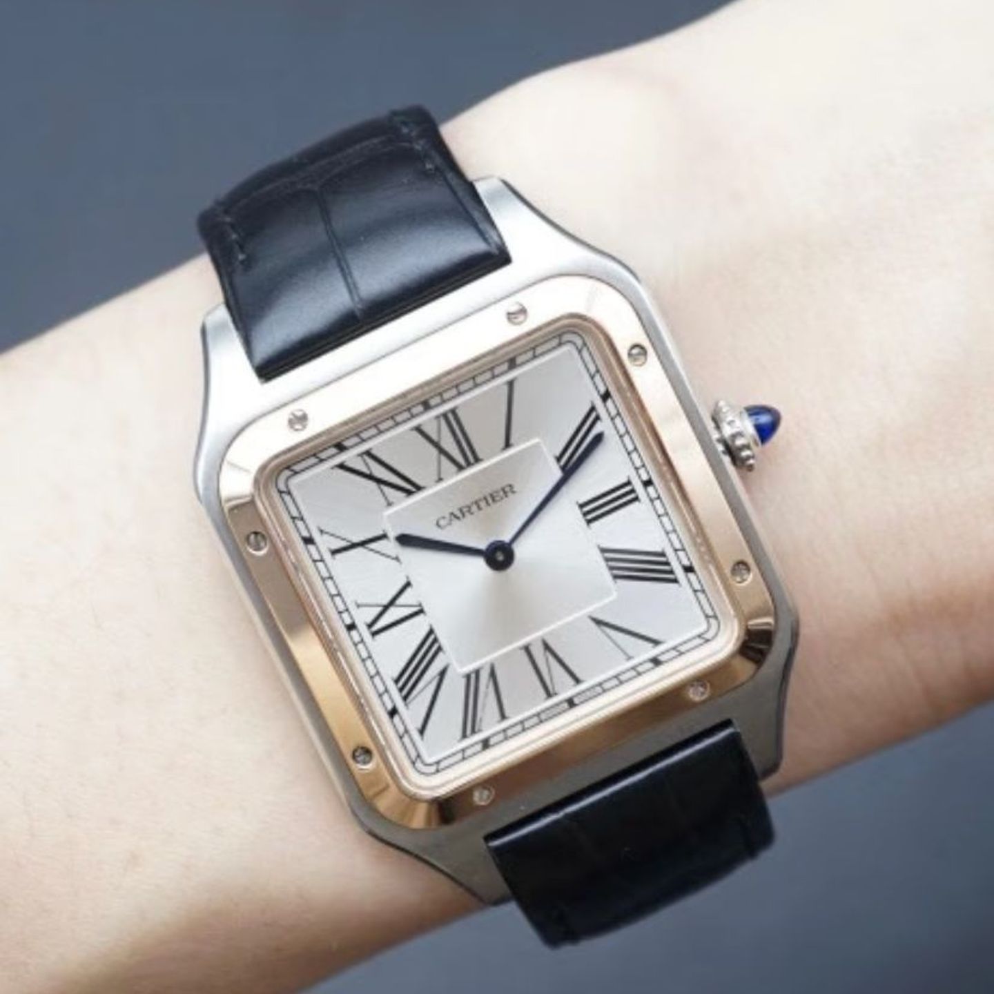 Cartier Santos Dumont W2SA0017 - (5/5)