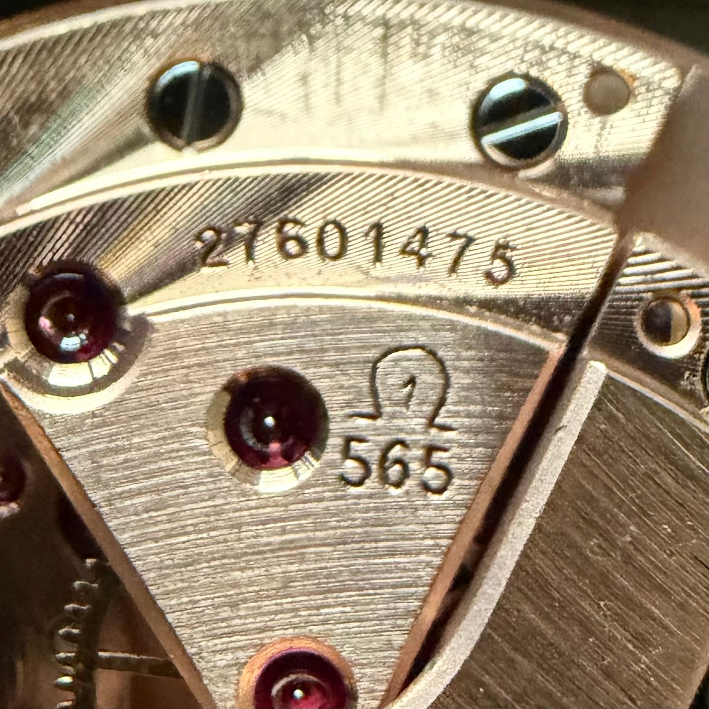 Omega Genève 162.010 (1968) - Blue dial 31 mm Steel case (4/8)