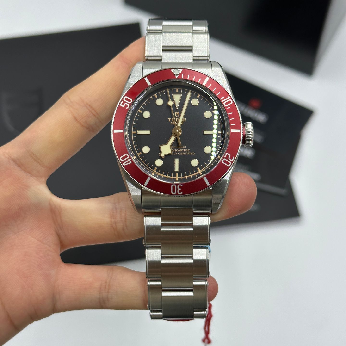 Tudor Black Bay 79230R - (6/8)