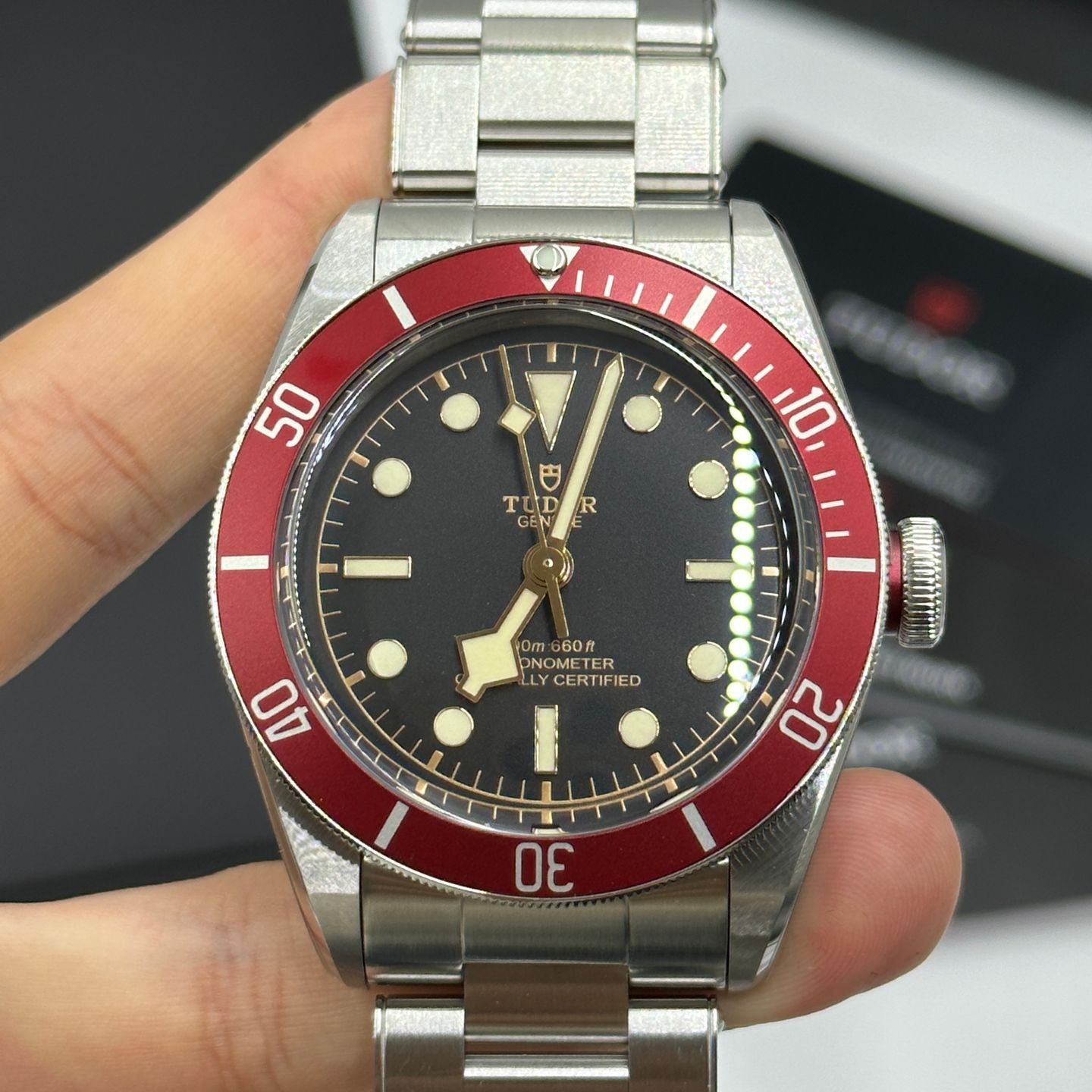 Tudor Black Bay 79230R - (7/8)