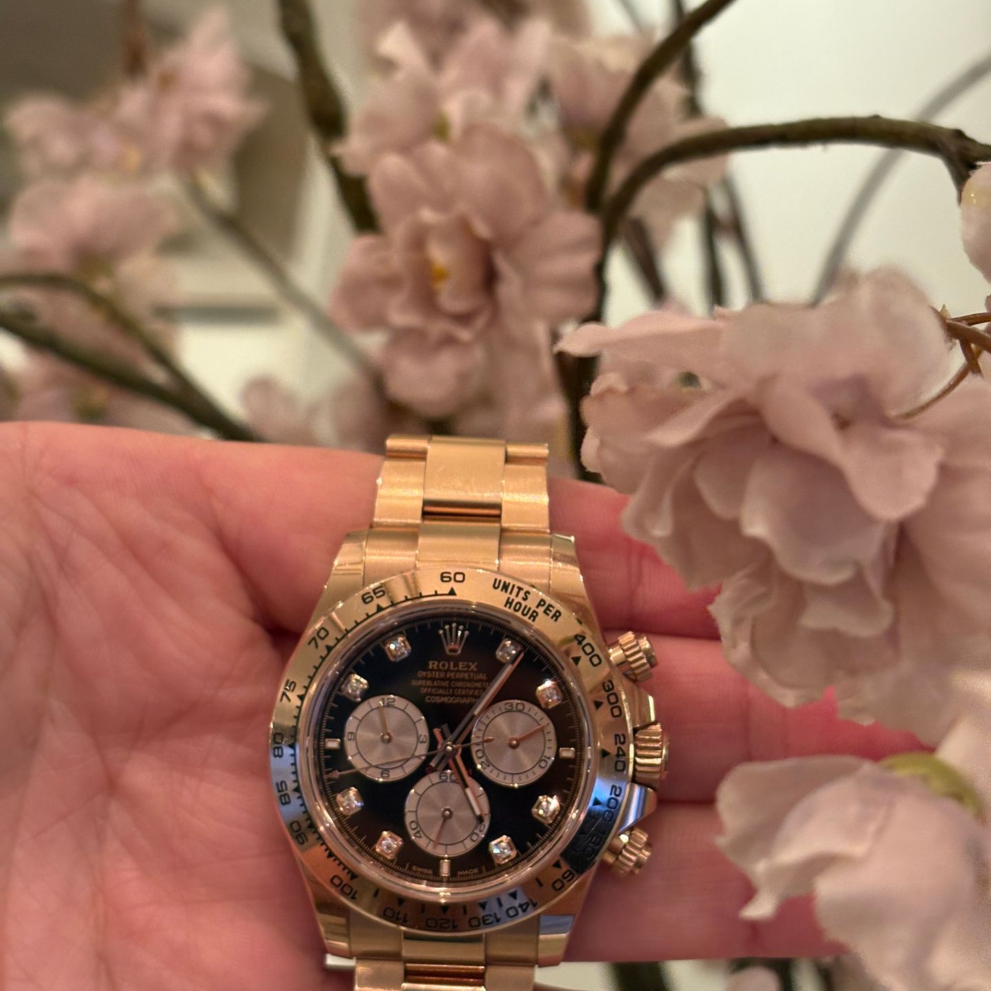 Rolex Daytona 126505 - (2/4)
