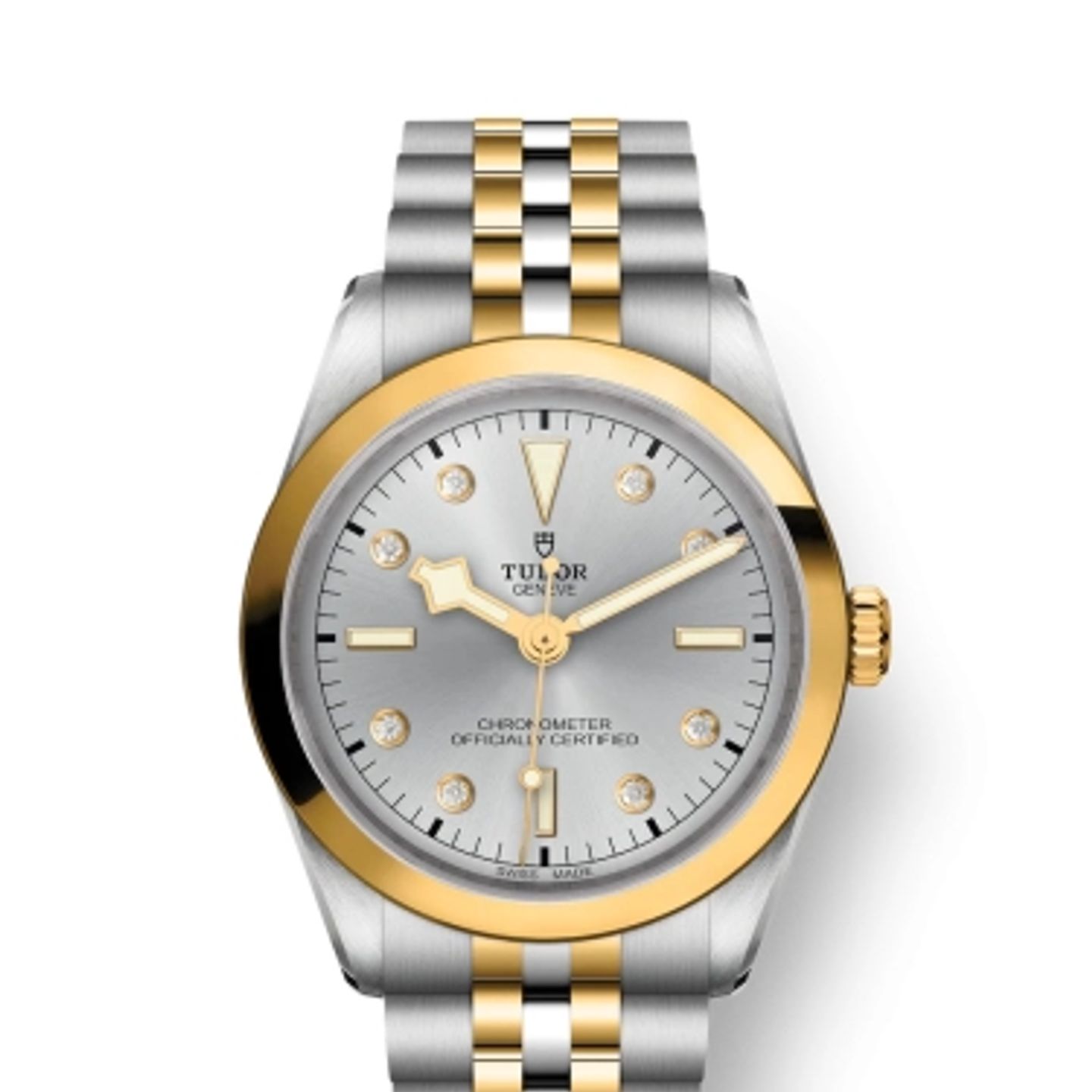 Tudor Black Bay S&G 79643 - (1/1)