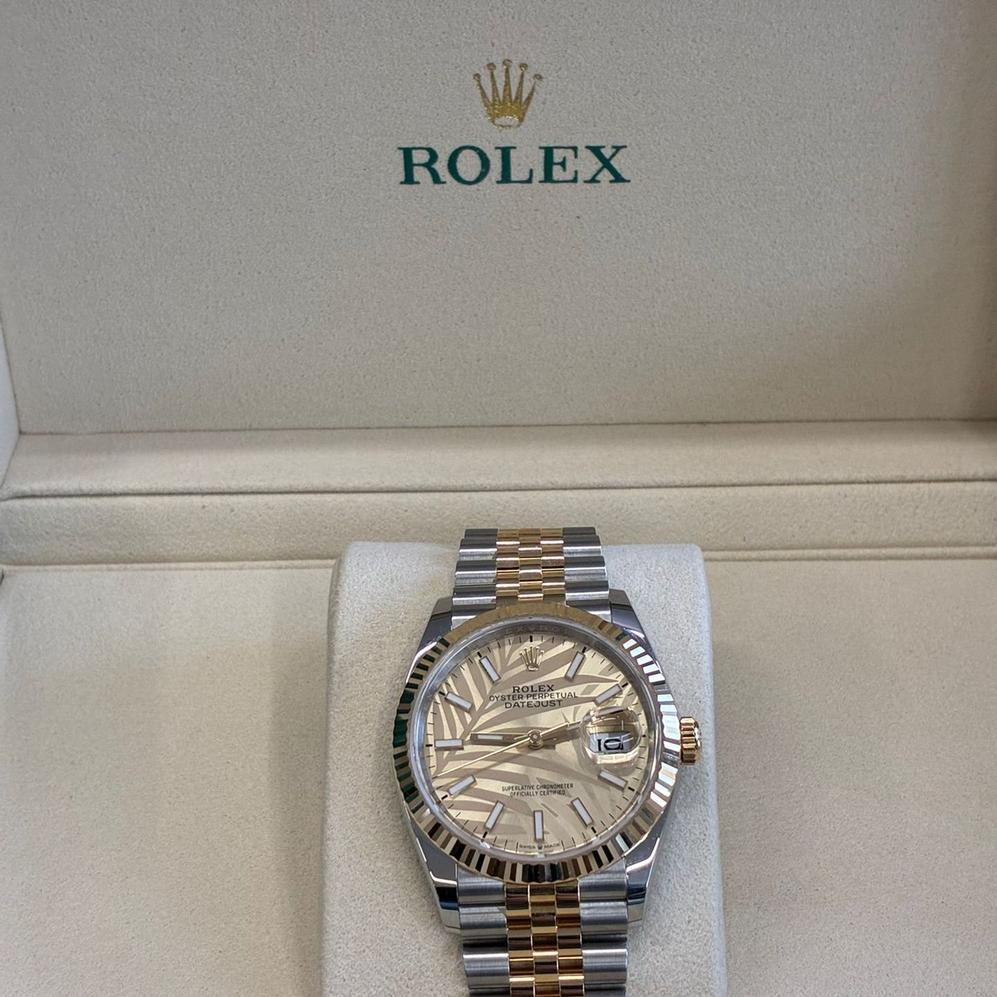 Rolex Datejust 36 126233 CHAMP PALM JUB (2024) - Unknown dial 36 mm Gold/Steel case (1/6)