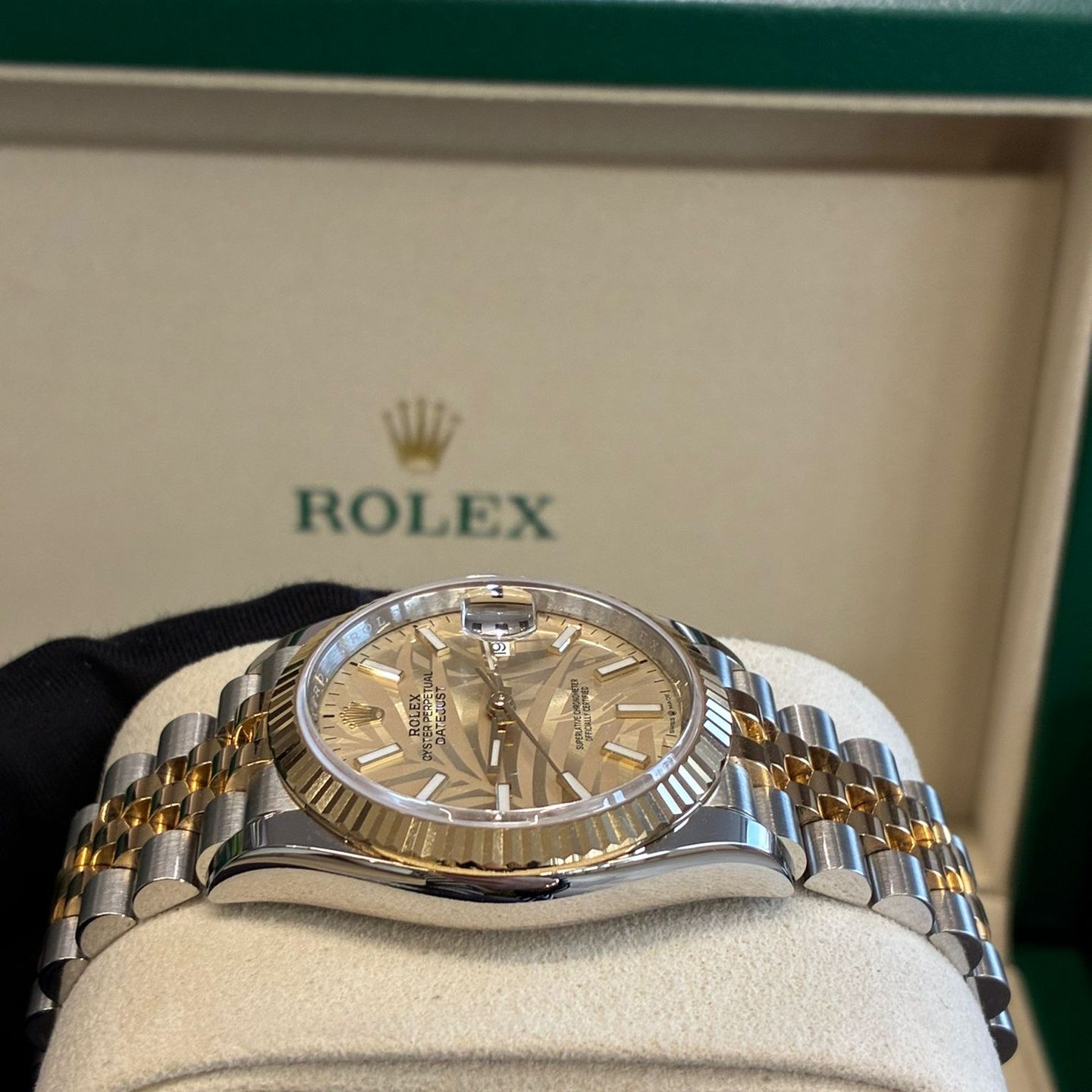 Rolex Datejust 36 126233 CHAMP PALM JUB (2024) - Unknown dial 36 mm Gold/Steel case (2/6)