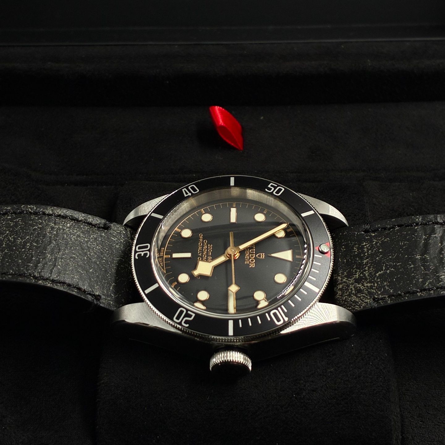 Tudor Black Bay 79230N - (2/7)