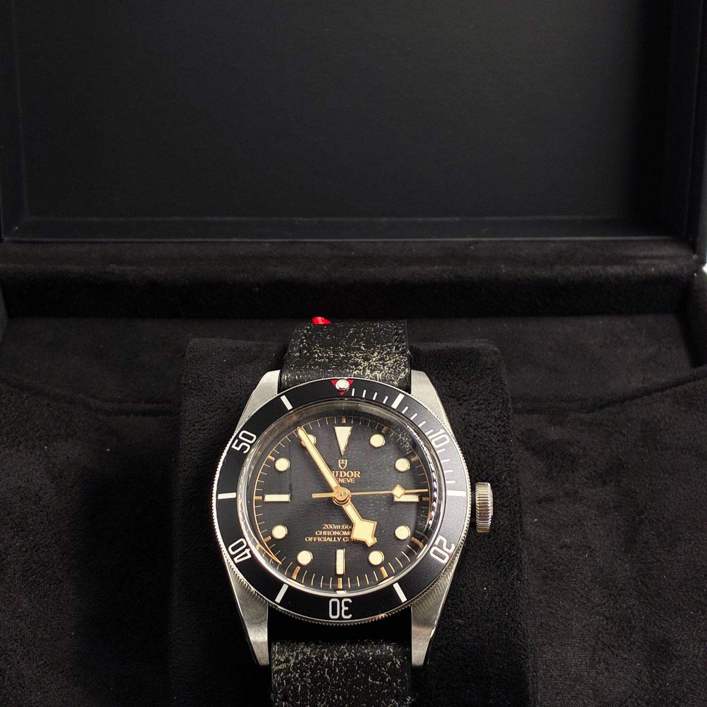 Tudor Black Bay 79230N - (1/7)