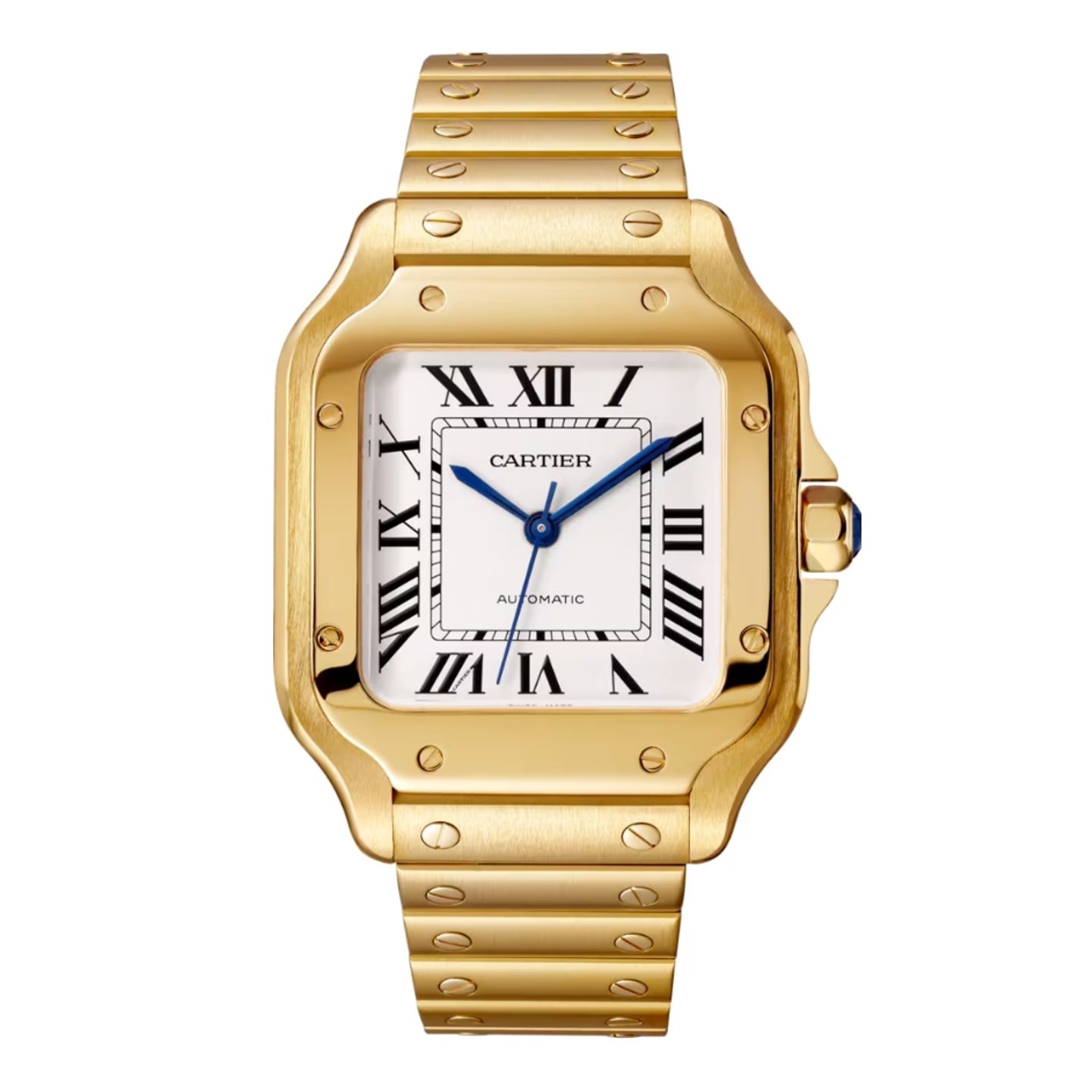 Cartier Santos WGSA0030 - (1/1)