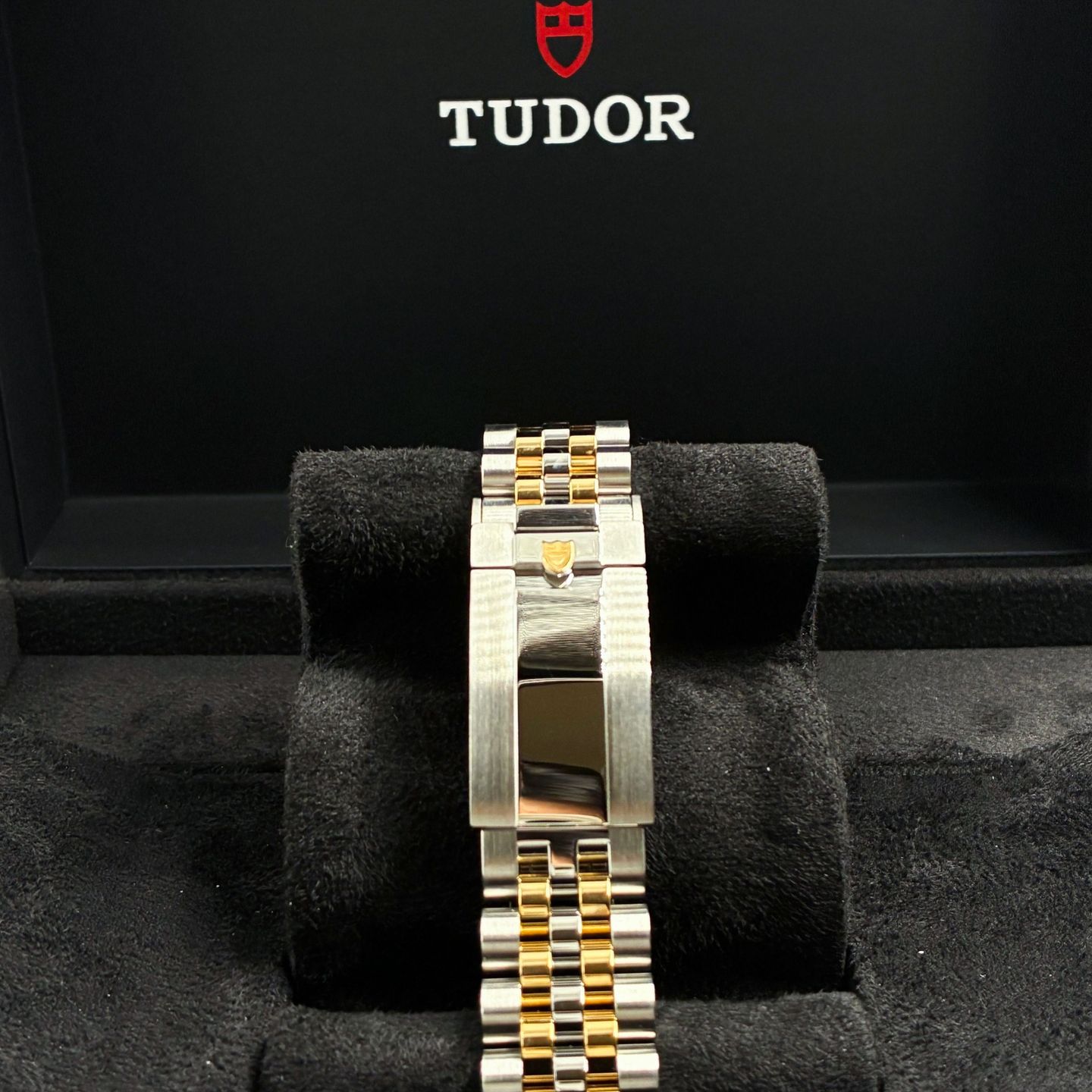 Tudor Black Bay S&G 79653 - (5/6)