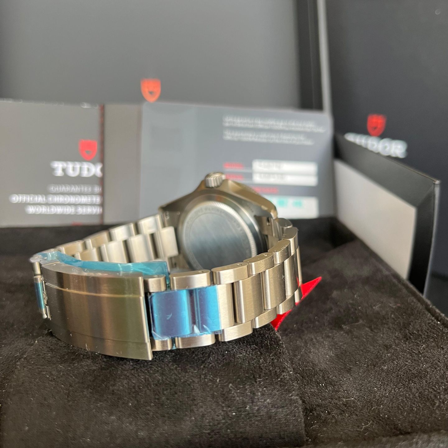 Tudor Pelagos 25407N - (6/6)