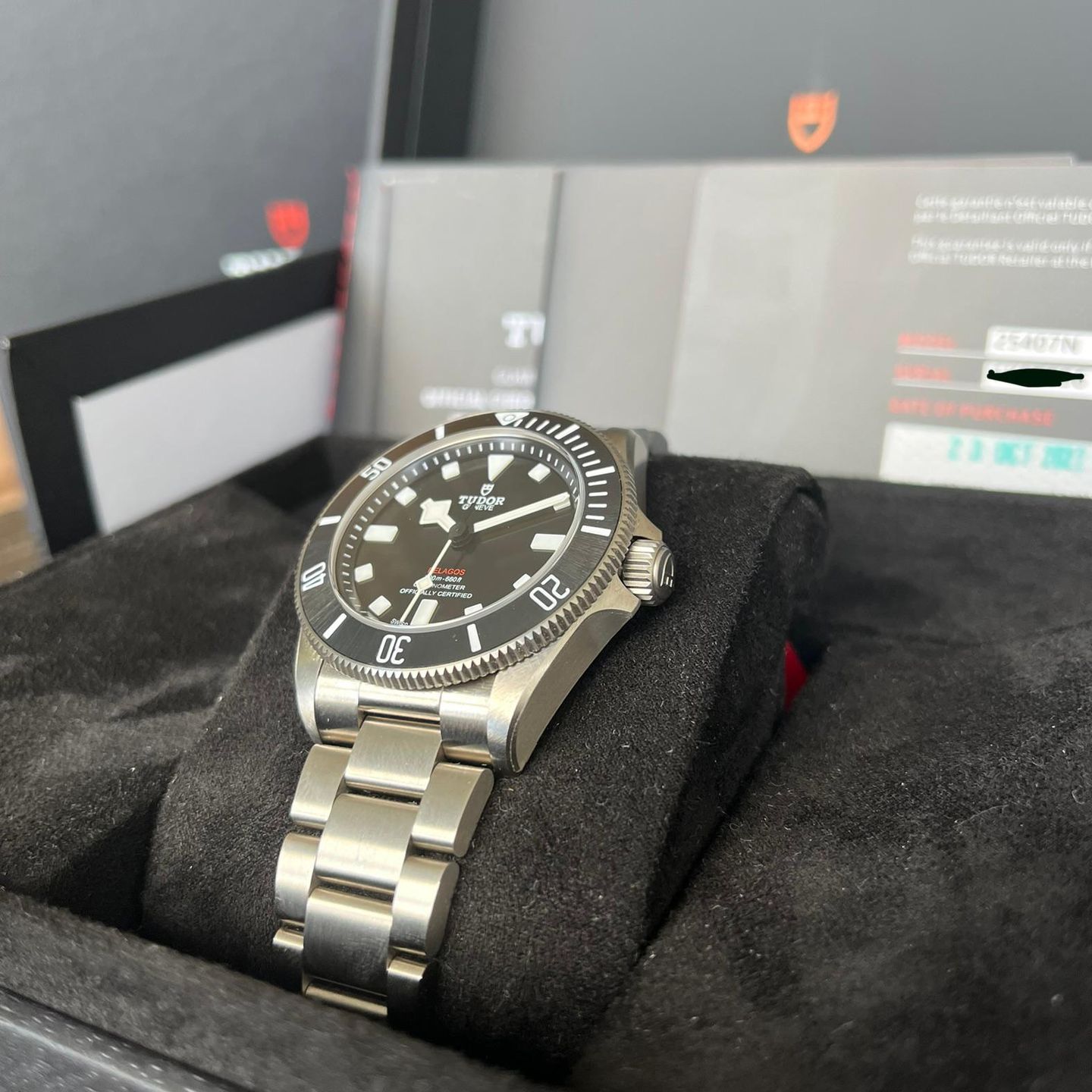 Tudor Pelagos 25407N - (4/6)
