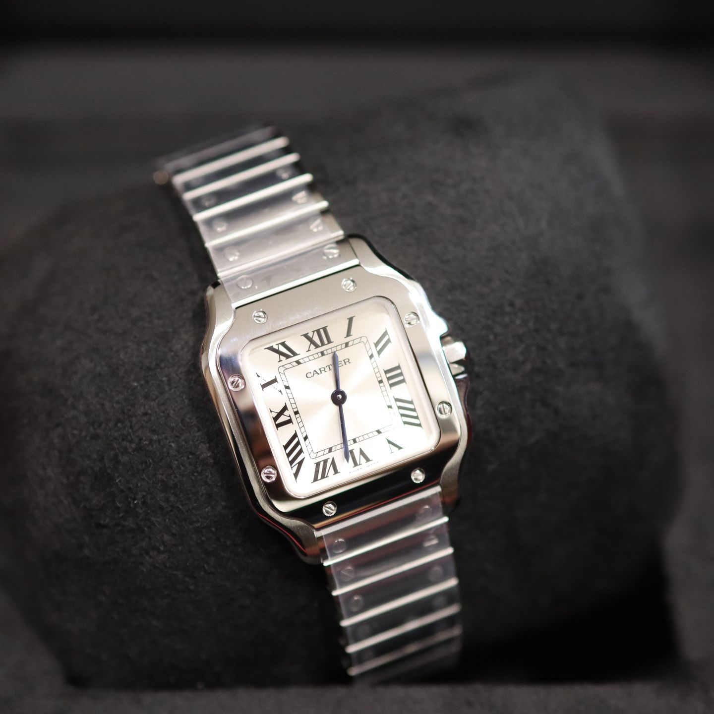 Cartier Santos WSSA0082 - (5/8)