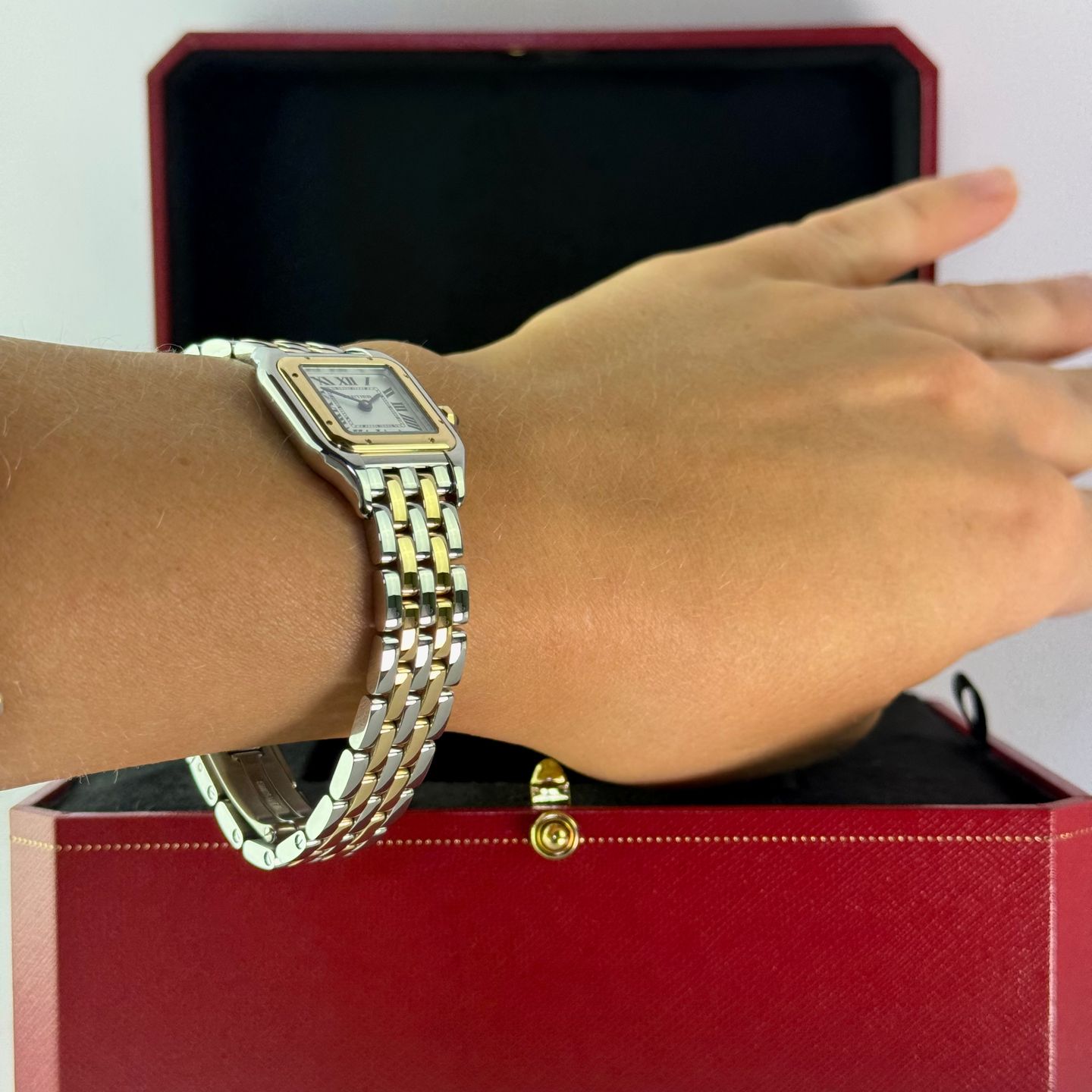 Cartier Panthère W2PN0018 (2025) - Silver dial 22 mm Gold/Steel case (7/7)