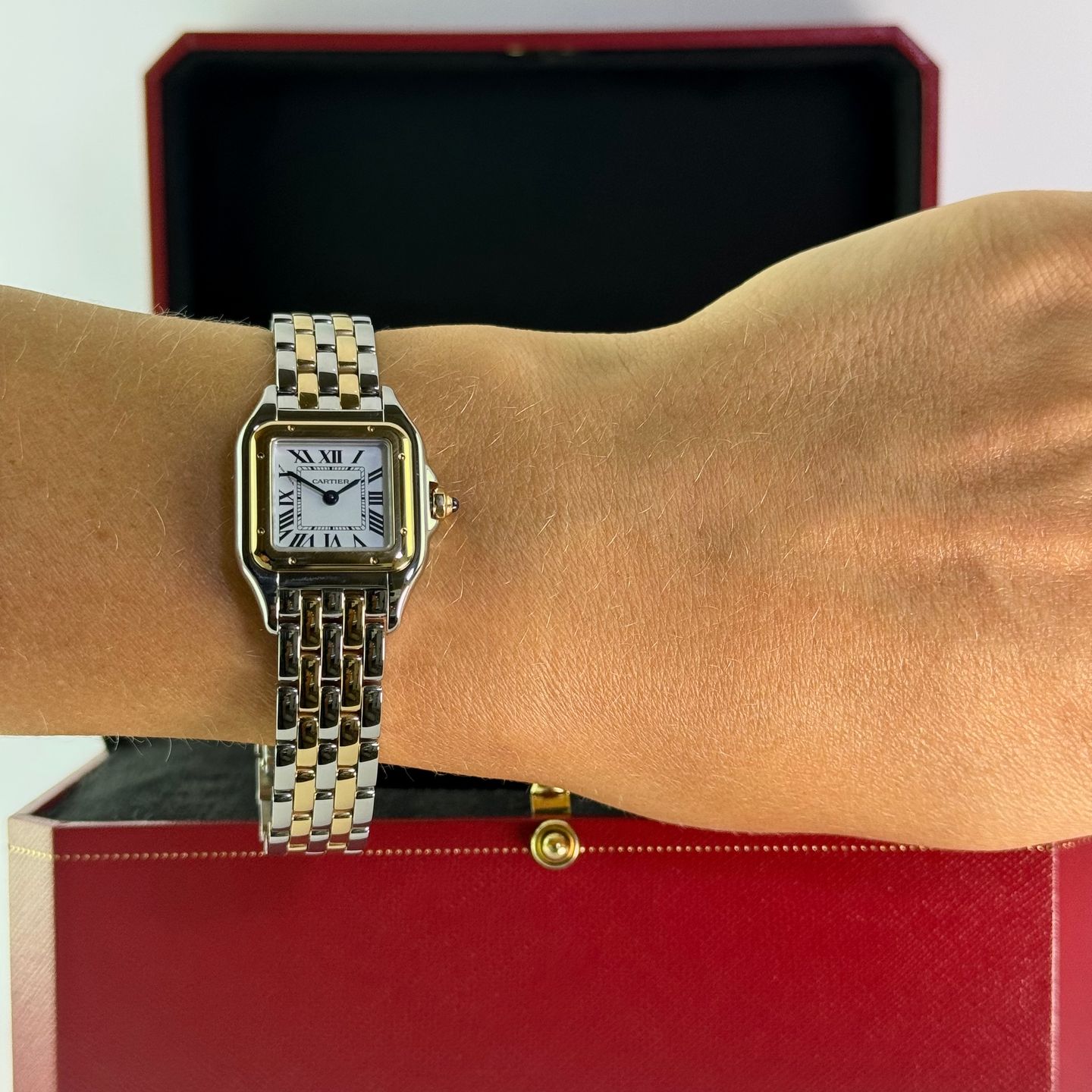 Cartier Panthère W2PN0018 (2025) - Silver dial 22 mm Gold/Steel case (6/7)