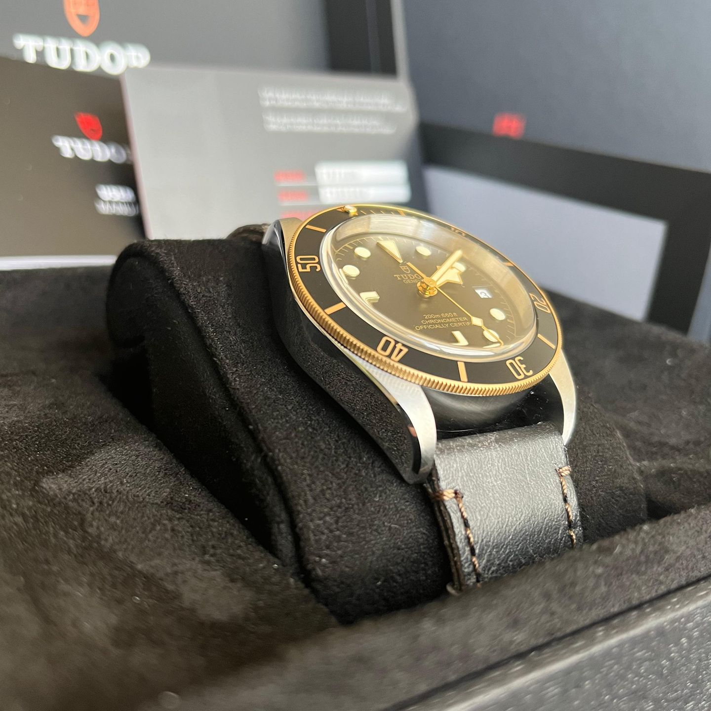 Tudor Black Bay S&G 79733N - (3/4)