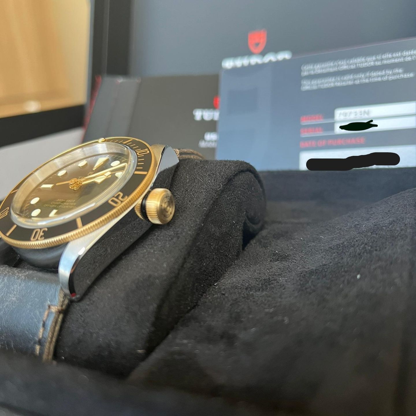 Tudor Black Bay S&G 79733N - (2/4)