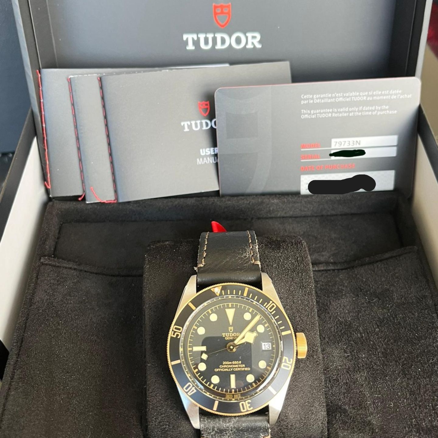 Tudor Black Bay S&G 79733N - (1/4)