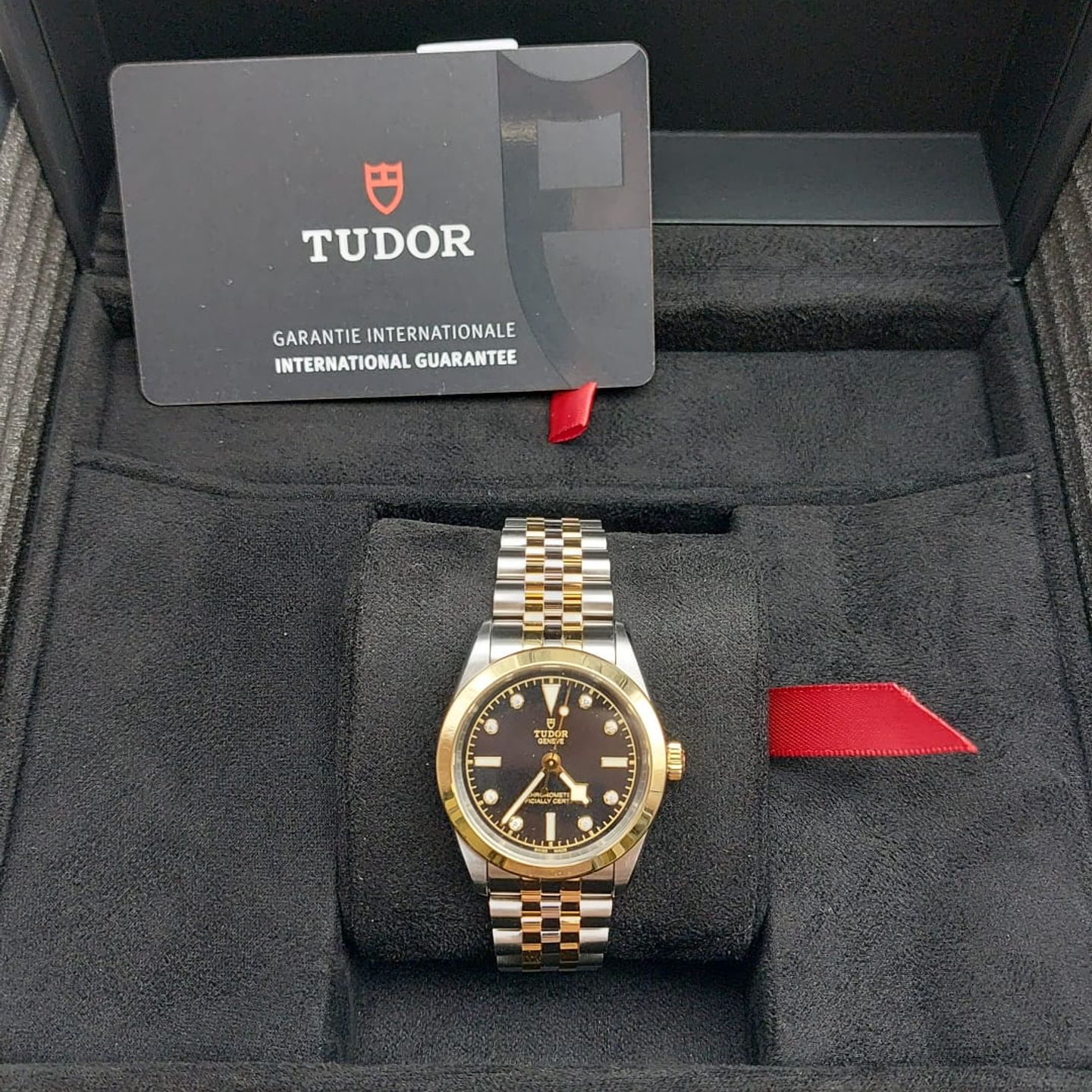 Tudor Black Bay S&G 79603 M79603-0006 - (2/6)