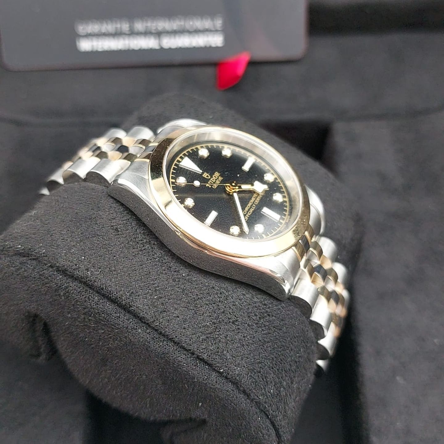 Tudor Black Bay S&G 79603 M79603-0006 - (6/6)