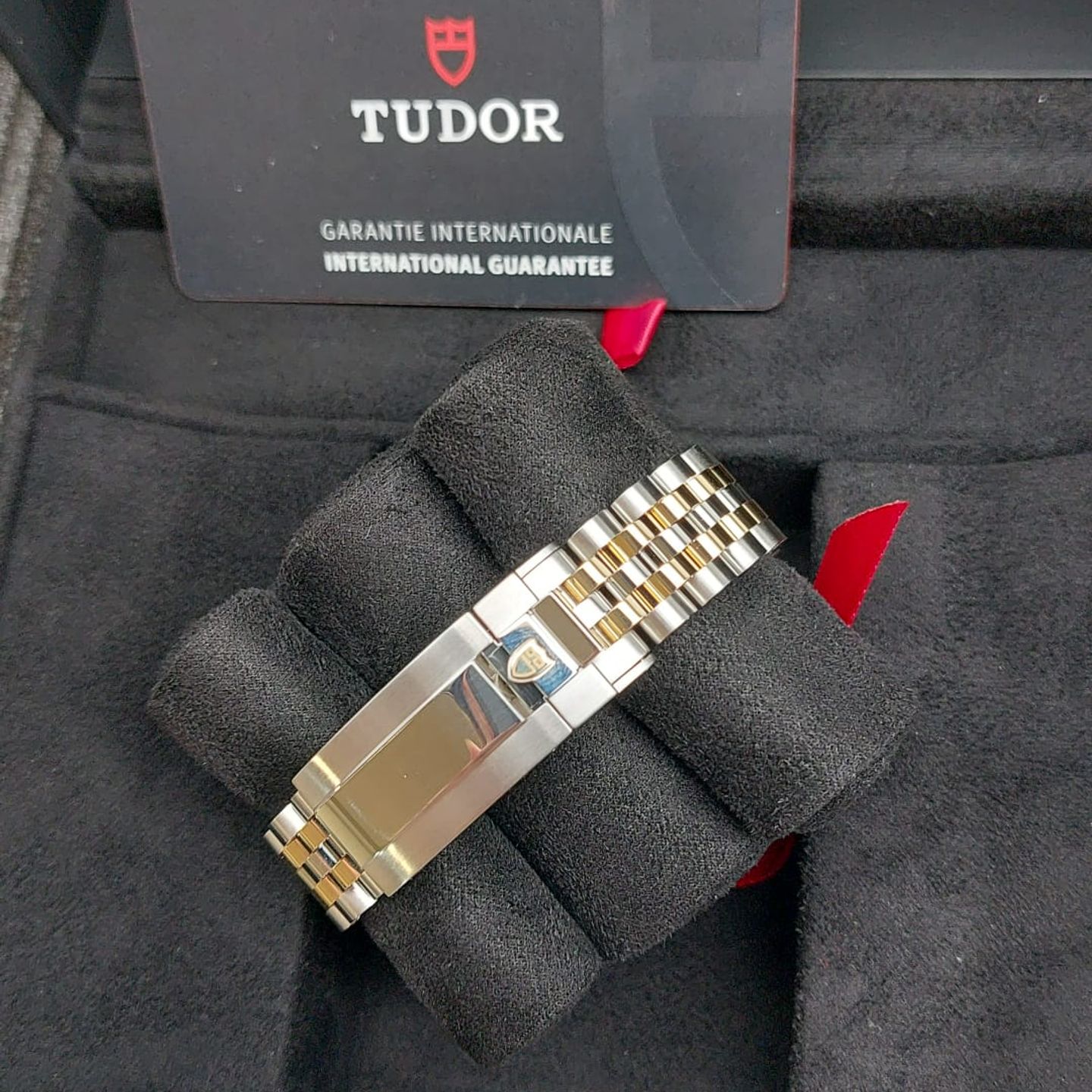 Tudor Black Bay S&G 79603 M79603-0006 - (5/6)