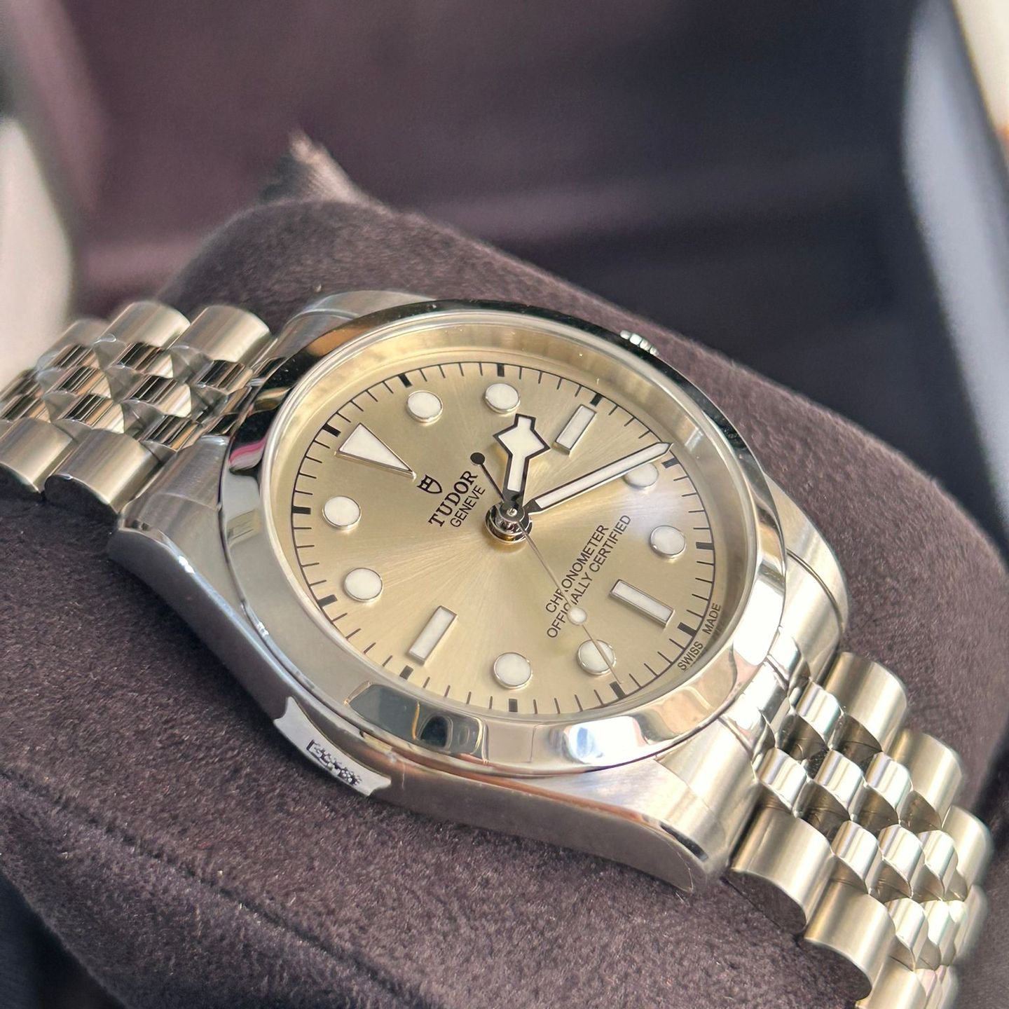 Tudor Black Bay 36 79640 - (5/8)