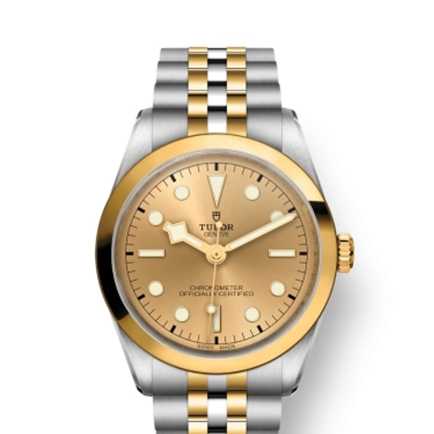 Tudor Black Bay S&G 79643 - (1/1)