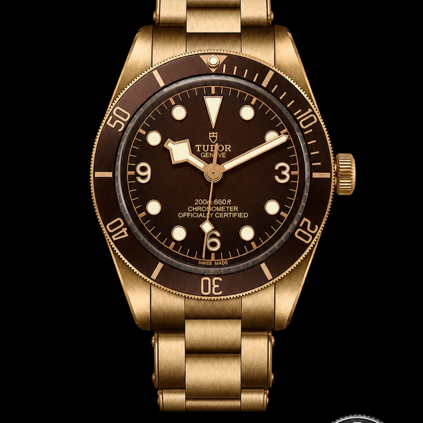 Tudor Black Bay Bronze 79012M - (1/8)