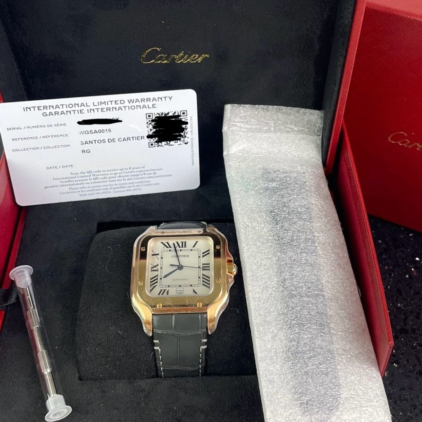 Cartier Santos WGSA0019 - (1/1)