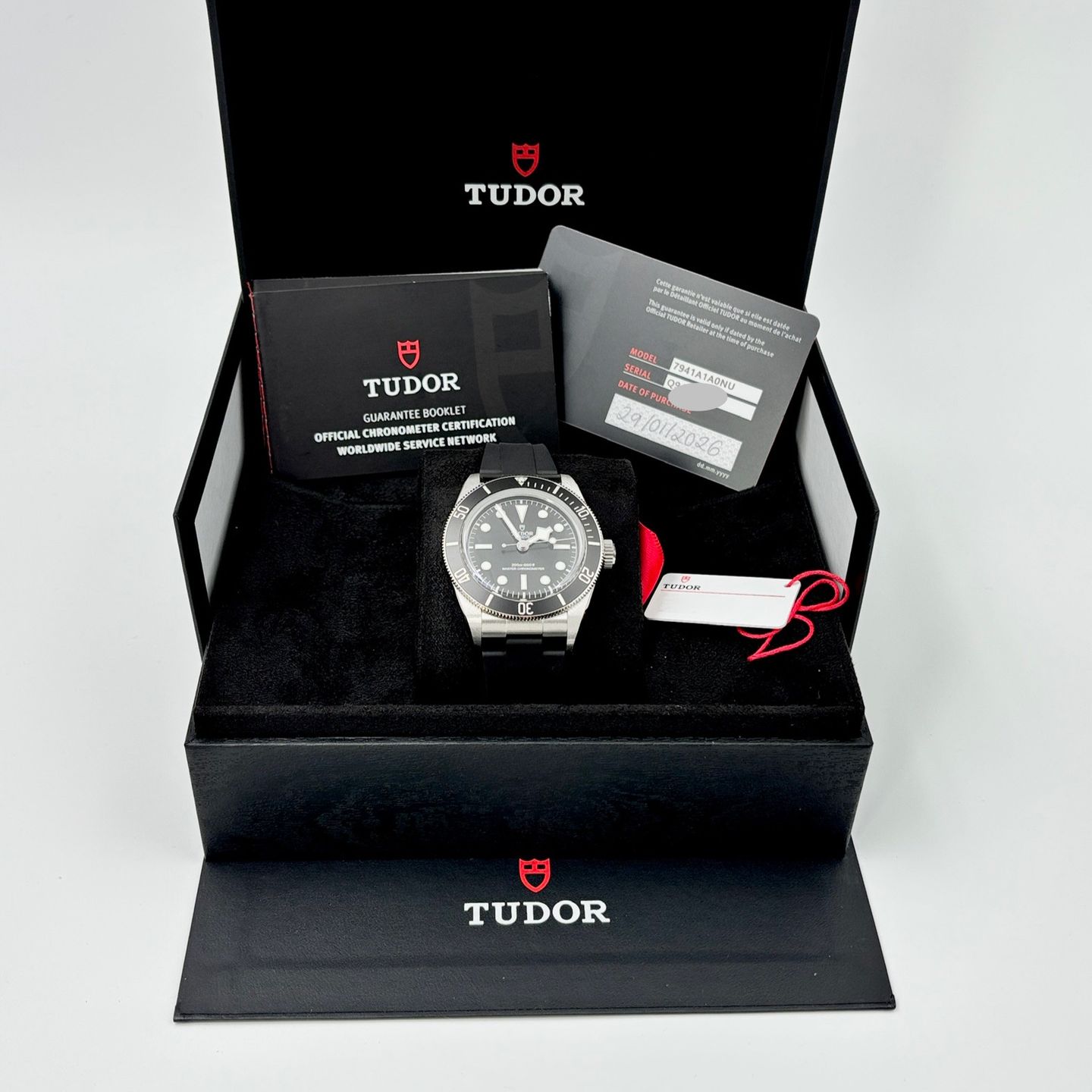 Tudor Black Bay 7941A1A0NU - (7/7)