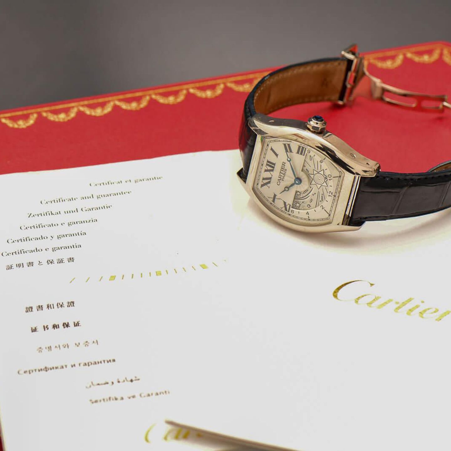 Cartier Tortue CPCP (2015) - Wit wijzerplaat 48mm Witgoud (6/8)