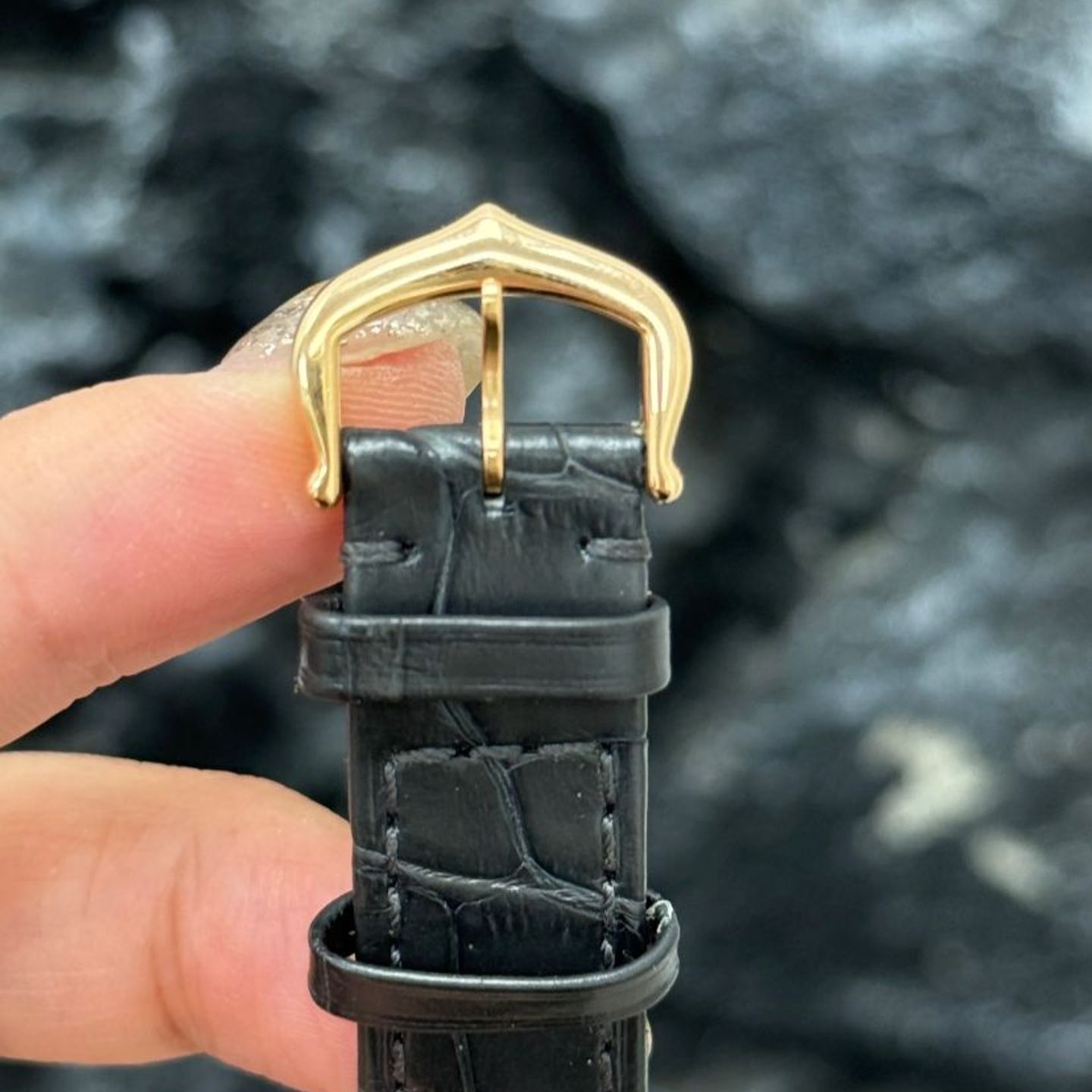 Cartier Santos Dumont WGSA0022 - (3/4)