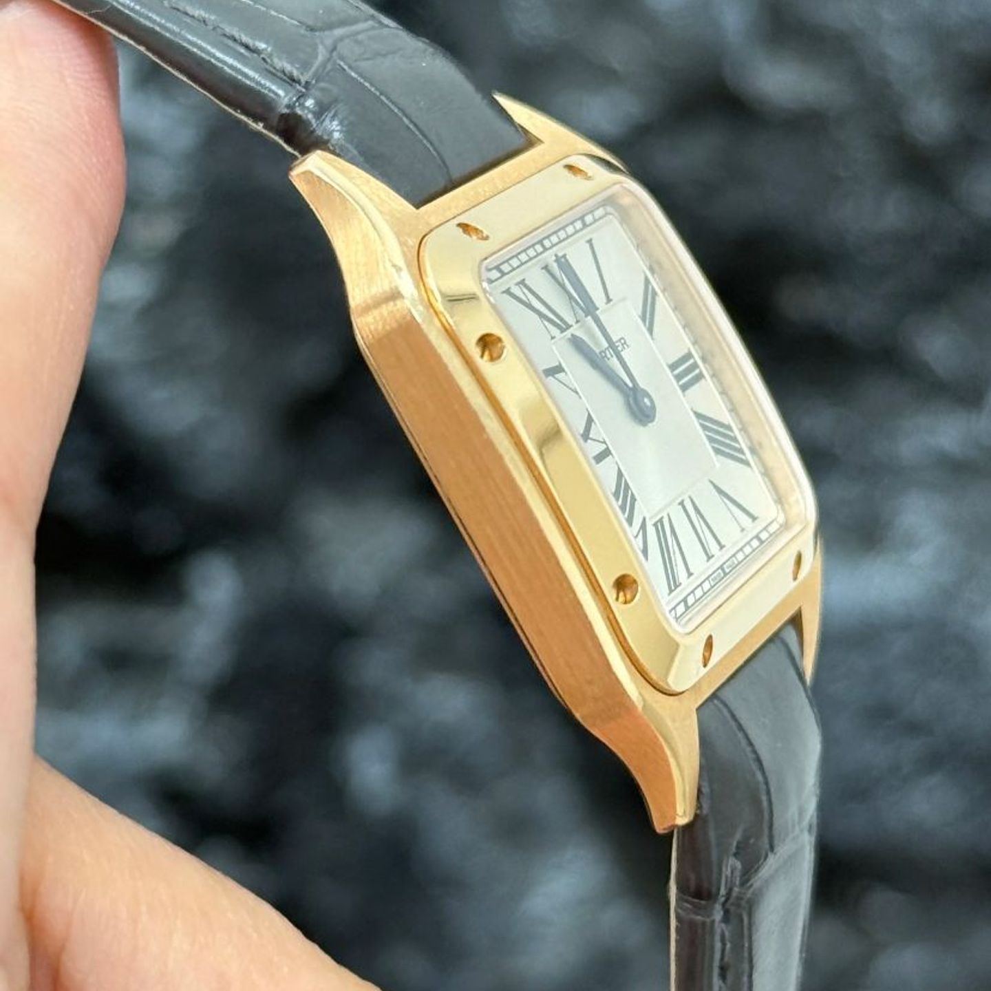 Cartier Santos Dumont WGSA0022 - (1/4)