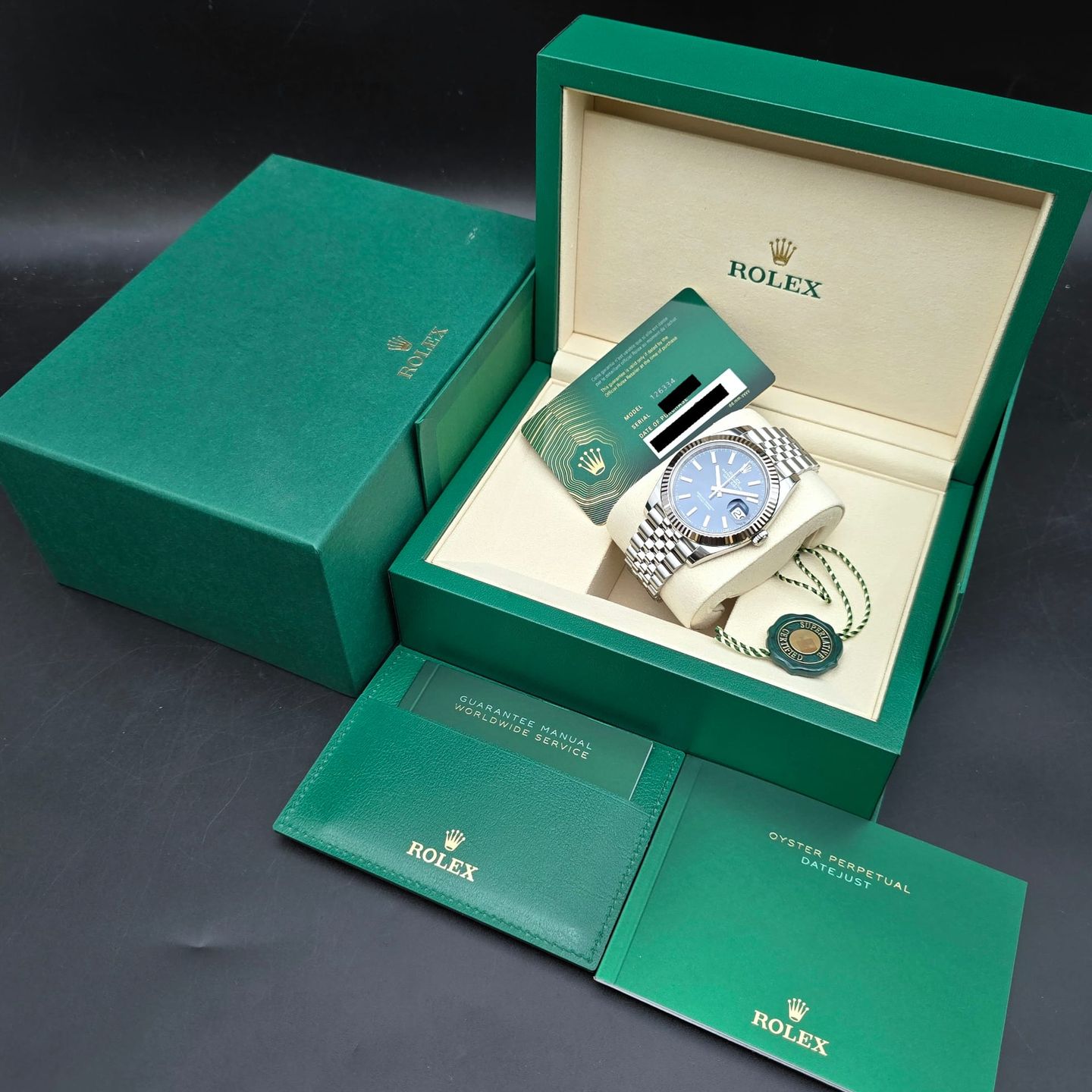 Rolex Datejust 41 126334 - (8/8)