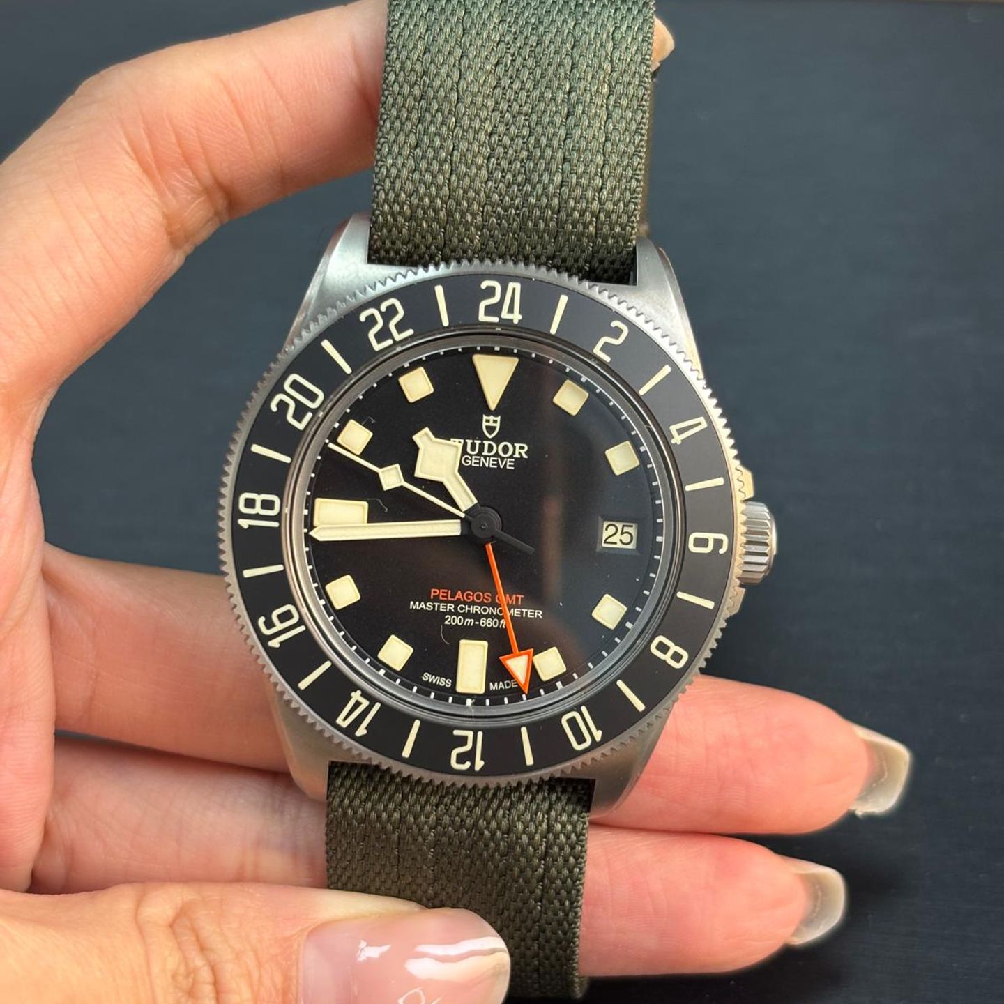 Tudor Pelagos M2542G247NU-0002 - (2/8)