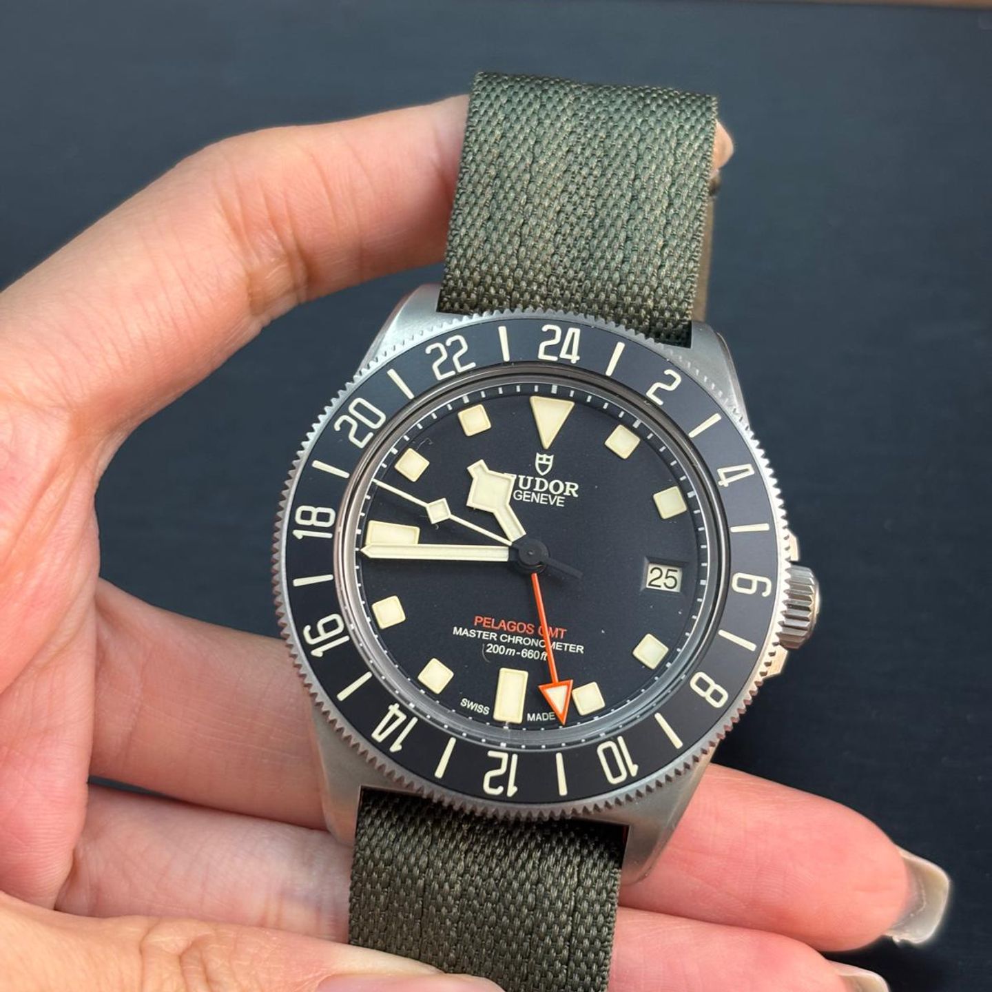 Tudor Pelagos M2542G247NU-0002 - (1/8)